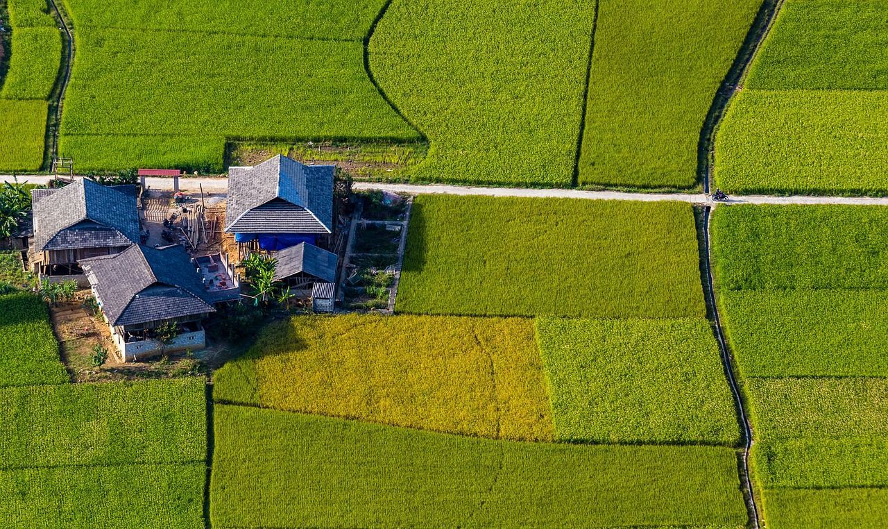 1280x762 Farmland Rice Fields Agriculture