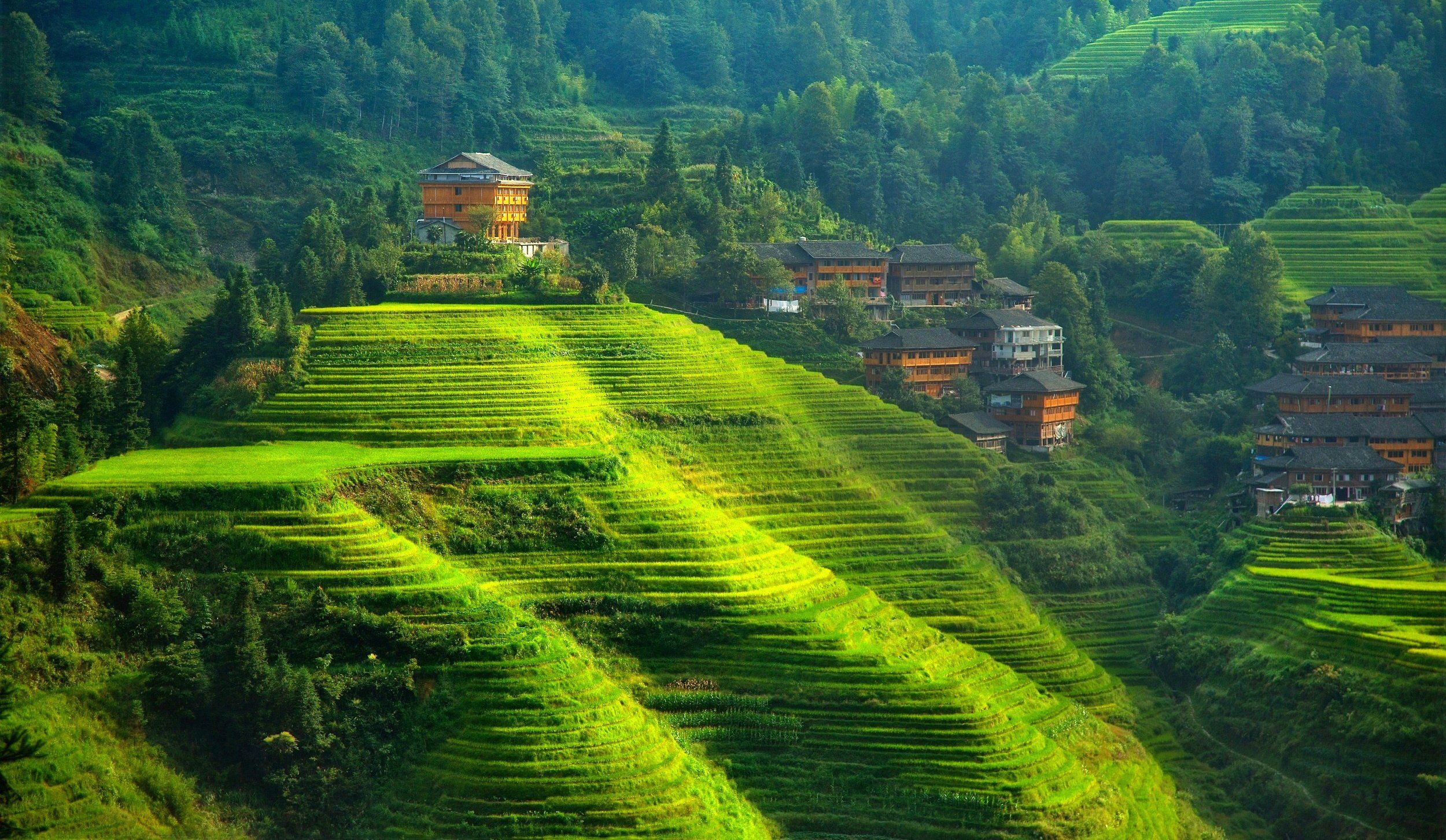 2500x1453 Asian, Rice, Farm, Rustic Wallpaper HD