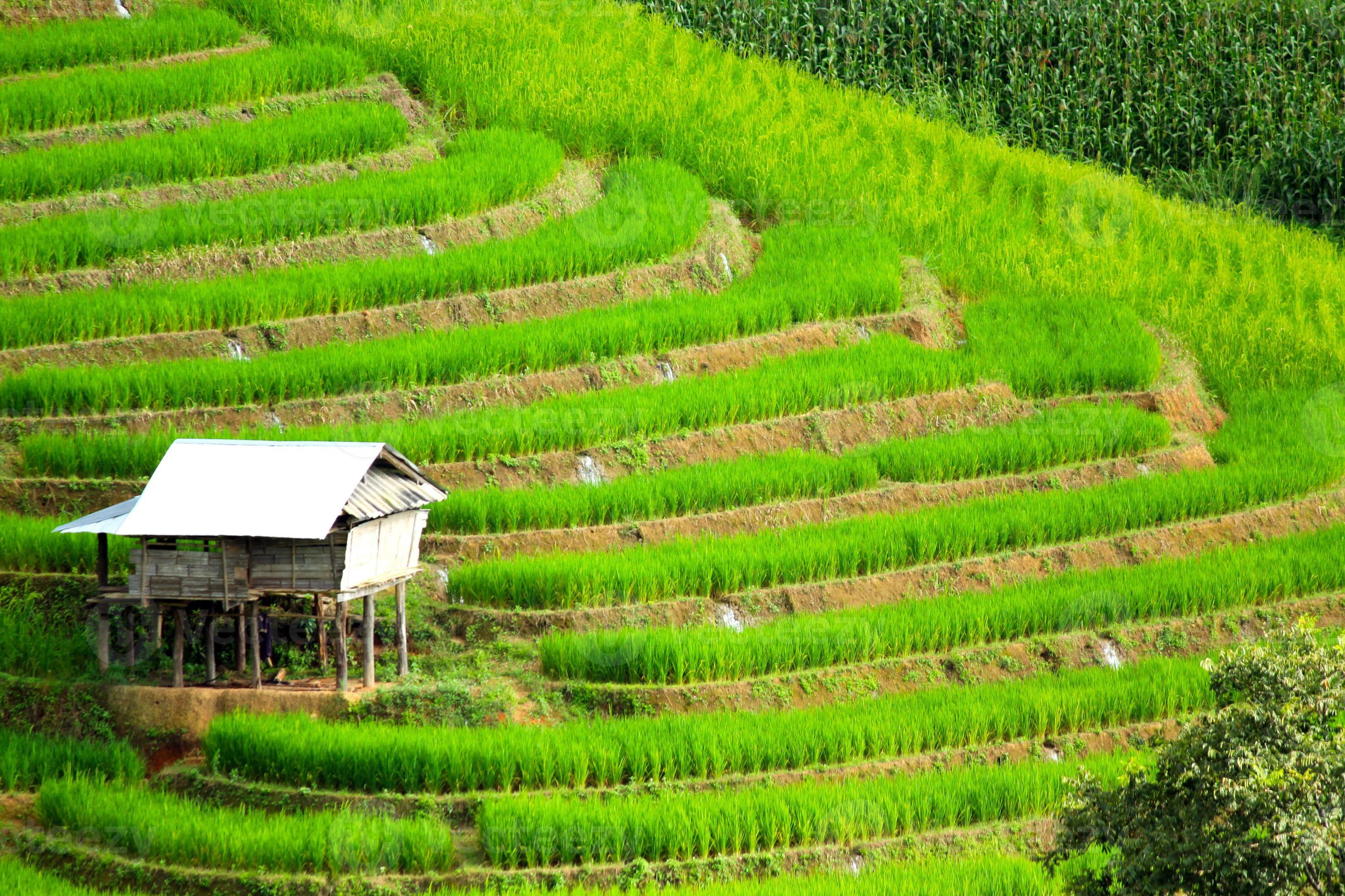 2940x1960 Farmer huts, home or house staying