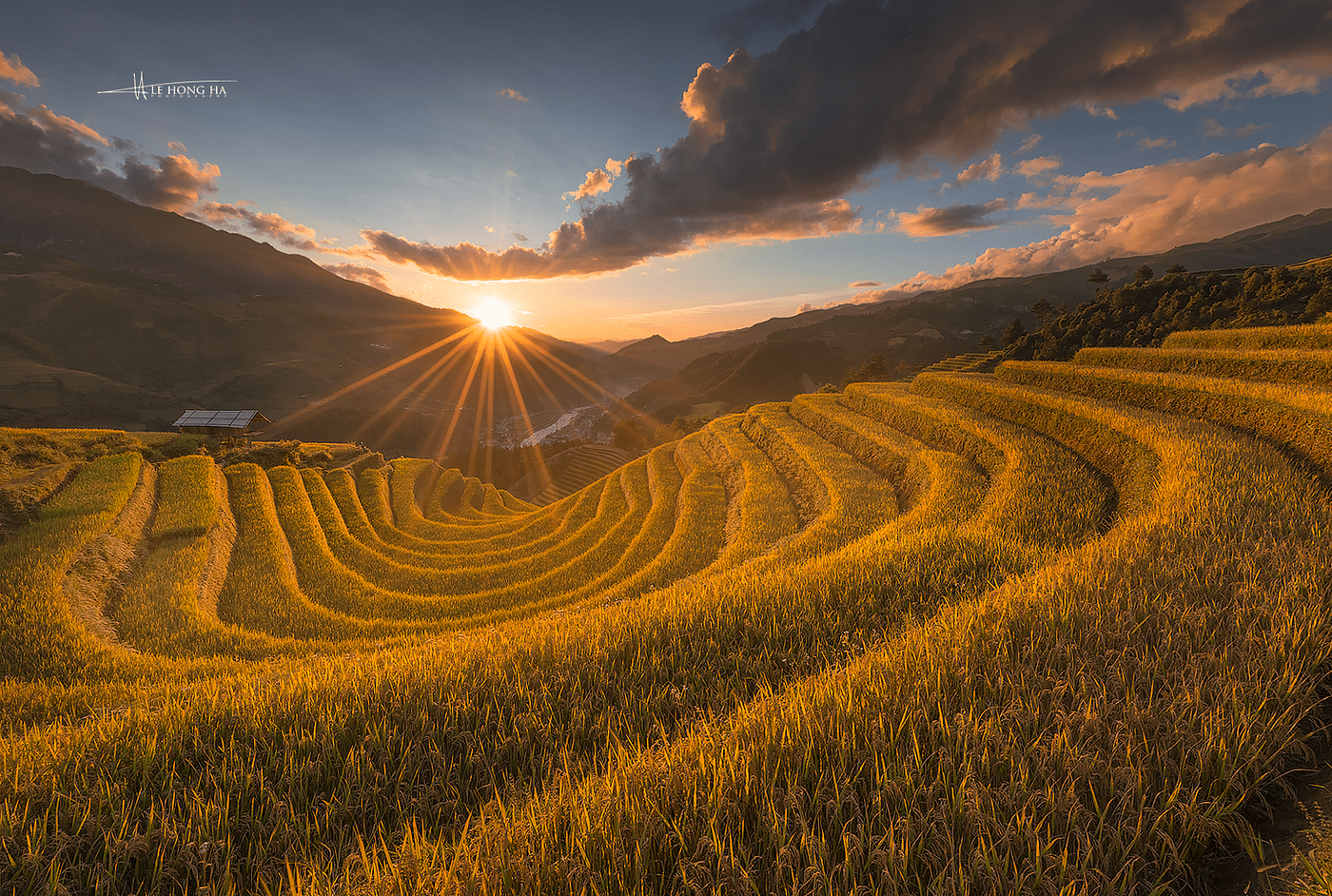 1400x942 The Terrace Rice Field Of North Vietnam