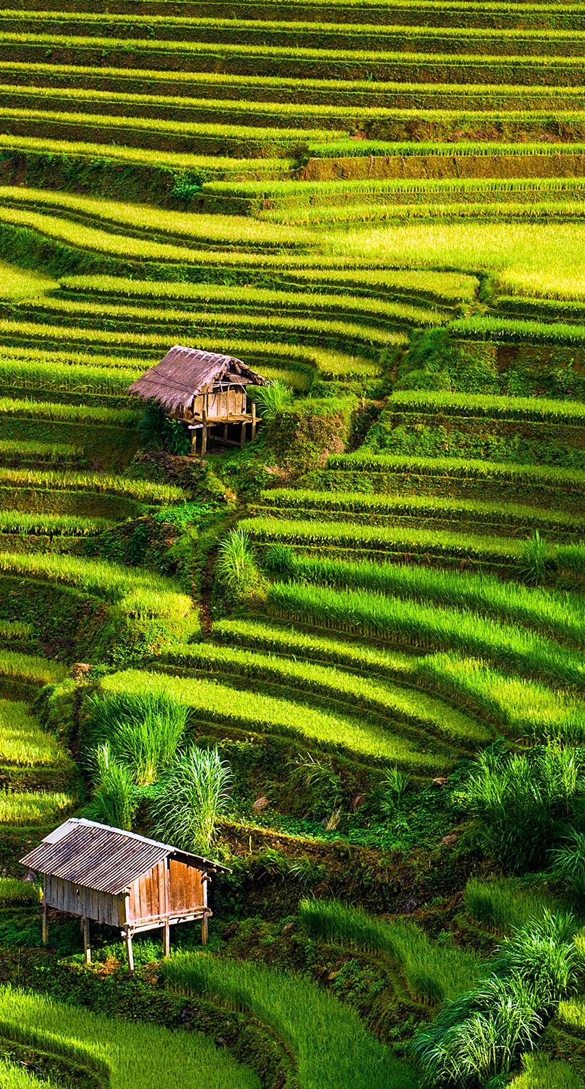 854x1590 Step rice field with houses : r