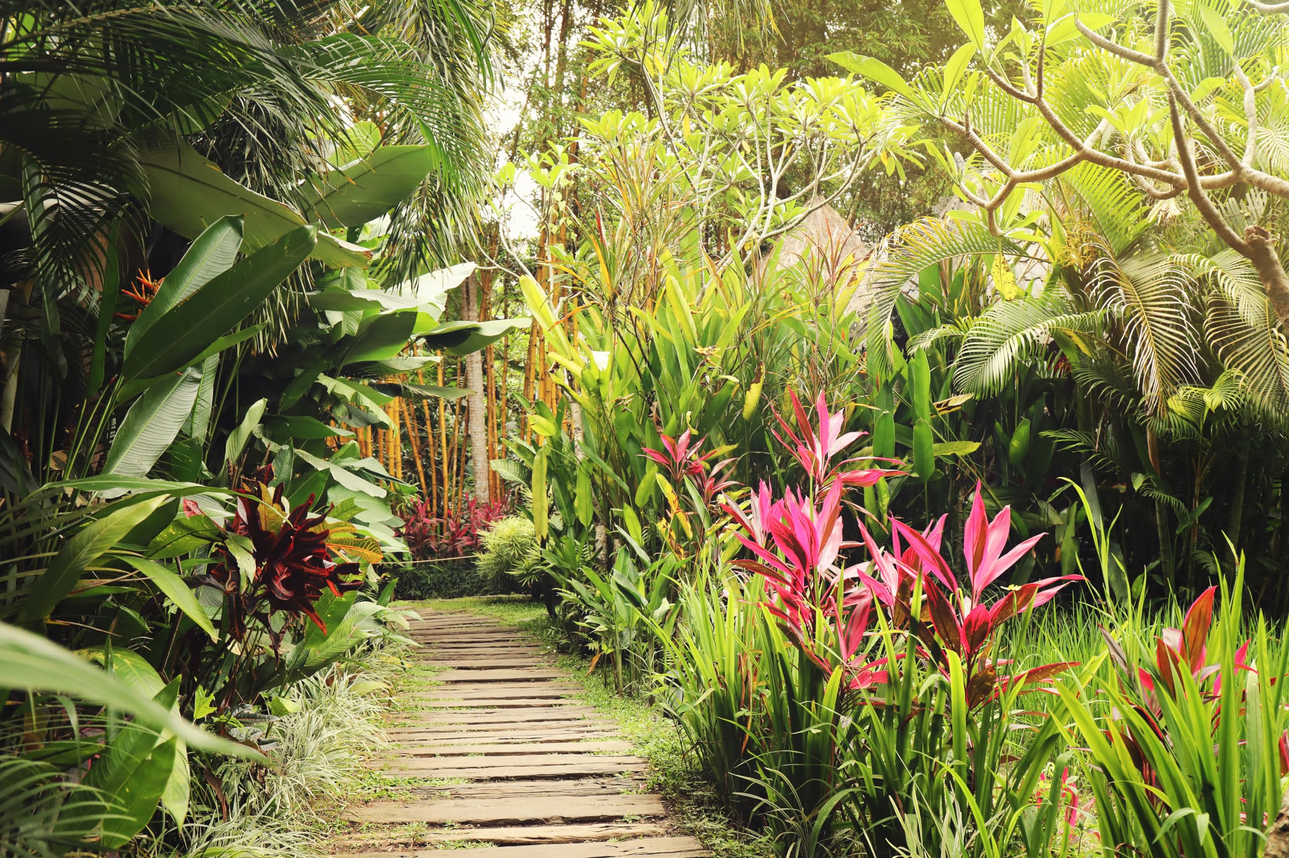 2560x1704 Amazon.com : chnywork 17x10ft Tropical Garden Backdrop Retro Summer Garden Green Plants Tropical Trees Flowers Path Background Theme Birthday Wedding Party Decor Photo Booth Studio Props Wallpaper