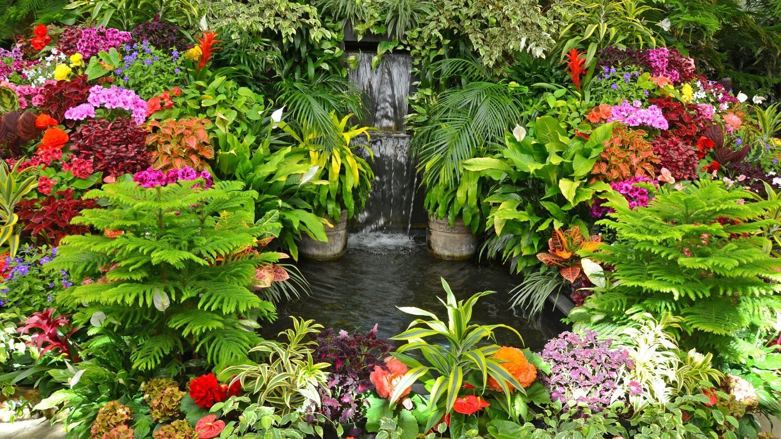 1600x900 Flowers For a Lush, Tropical Garden