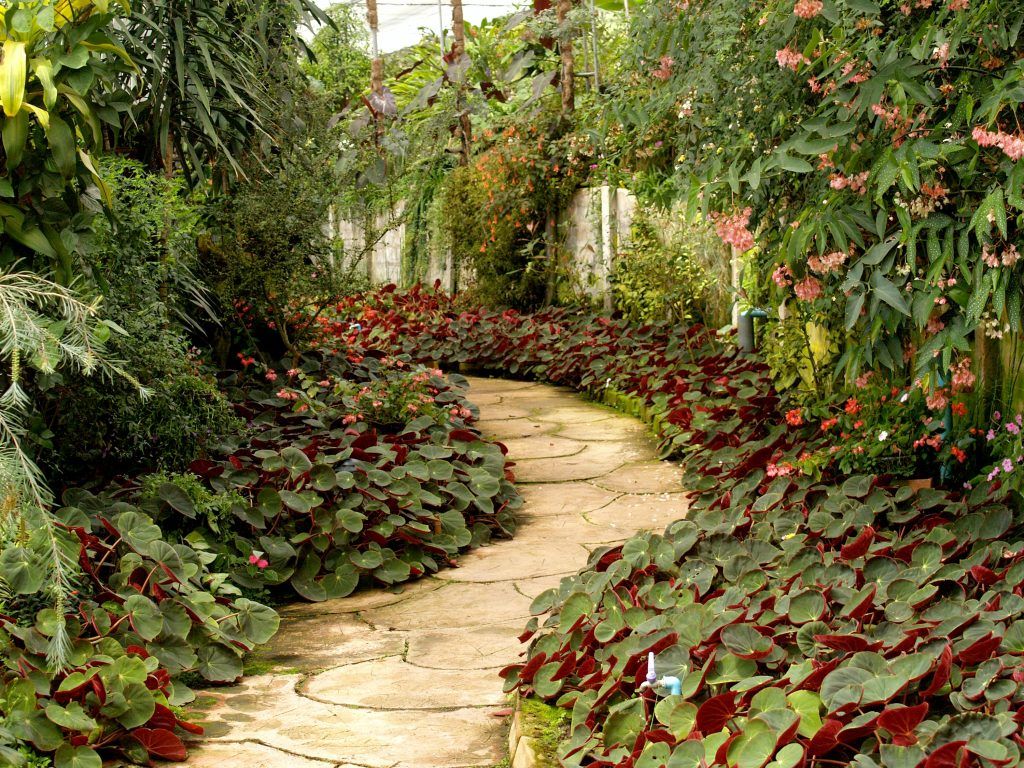 1024x768 Tips To Create A Tropical Garden