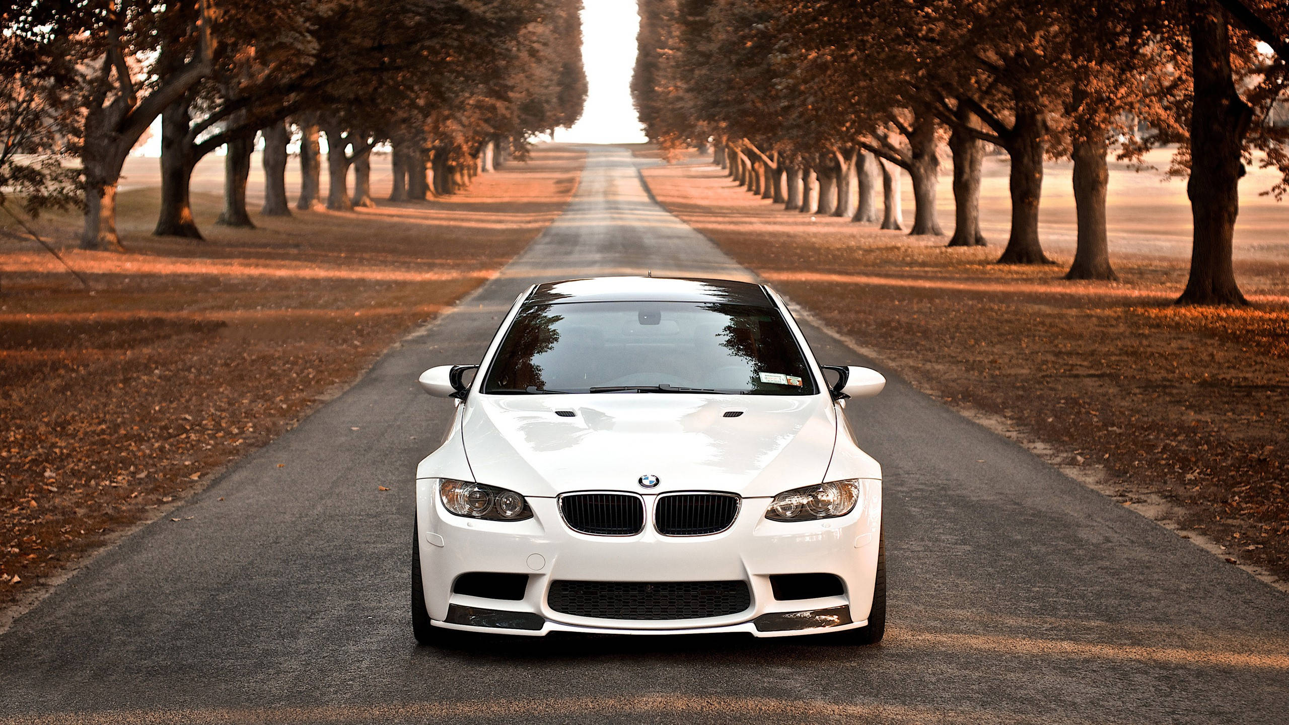2560x1440 Download White M3 GT2 Full HD BMW Wallpaper