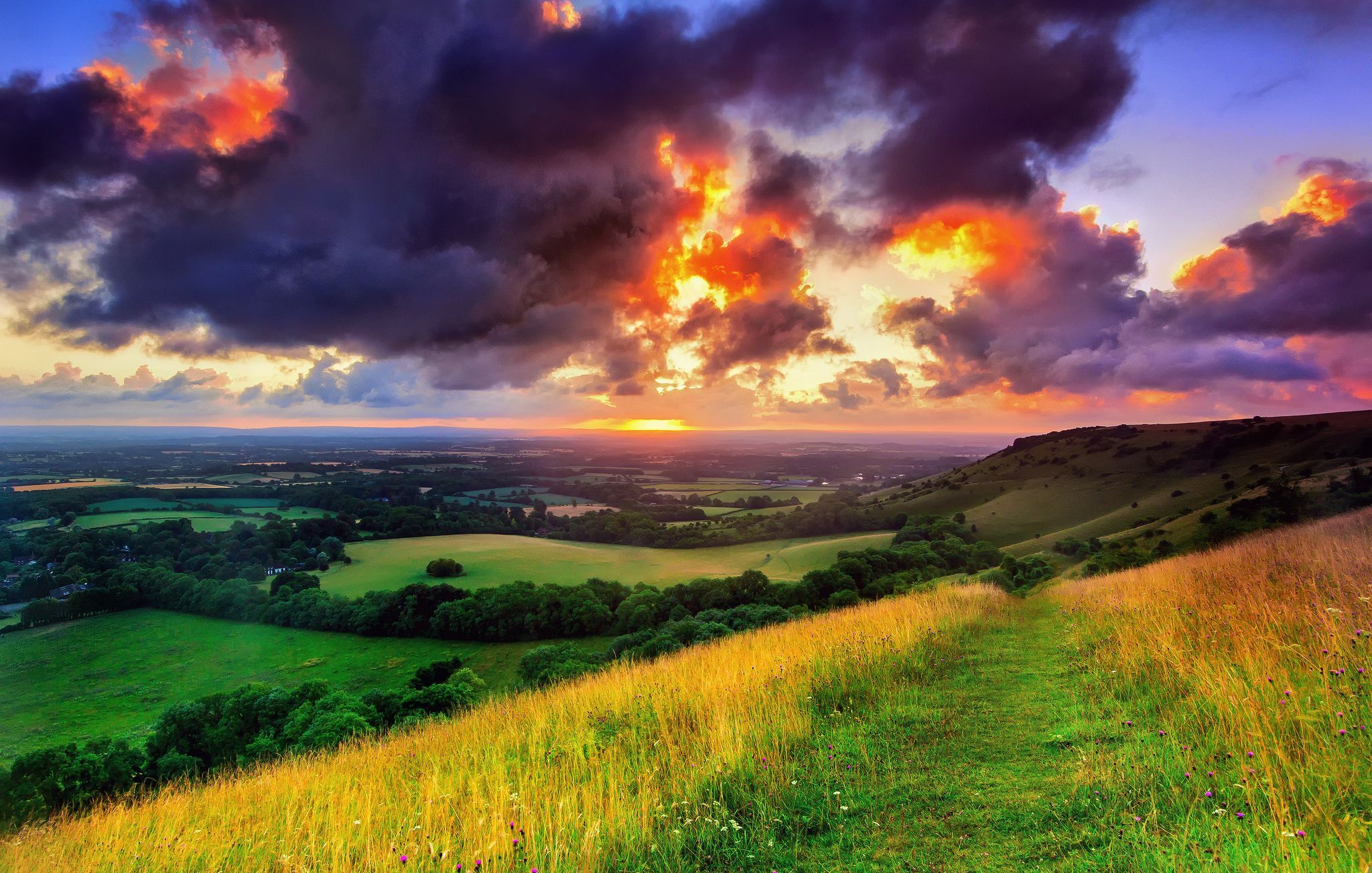 2048x1303 Wallpaper greens, field, the sky, grass, the sun, clouds, trees, landscape for mobile and desktop, section пейзажи, resolution 2048x1303