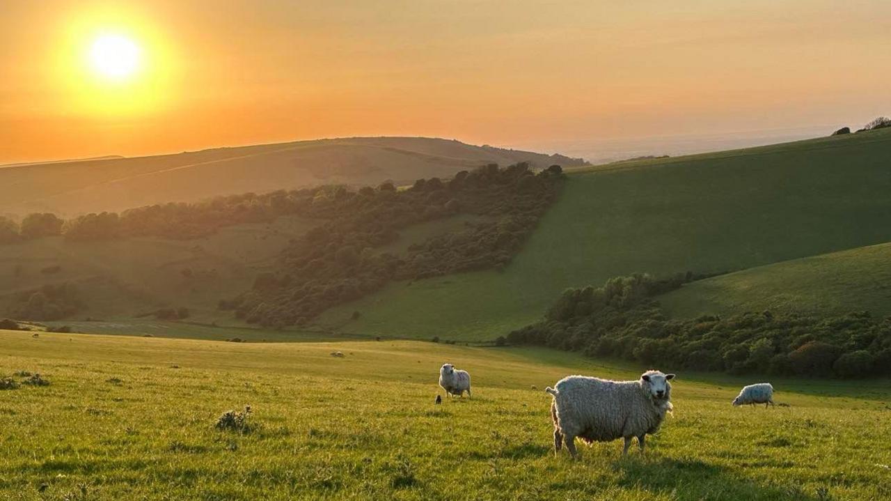 1280x719 Our favourite image of the week from Sussex
