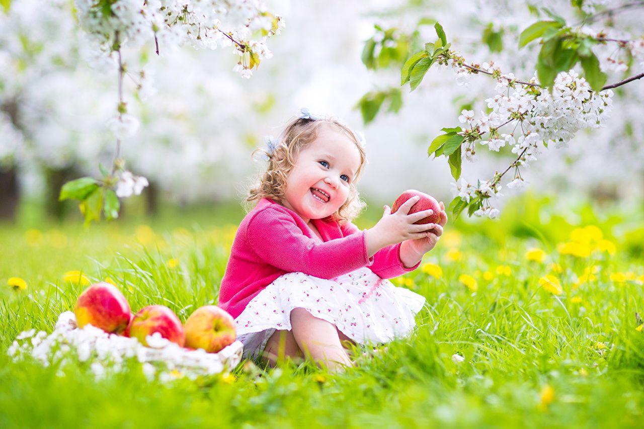 1280x853 Desktop Wallpaper Little girls Smile Children Apples sit Branches