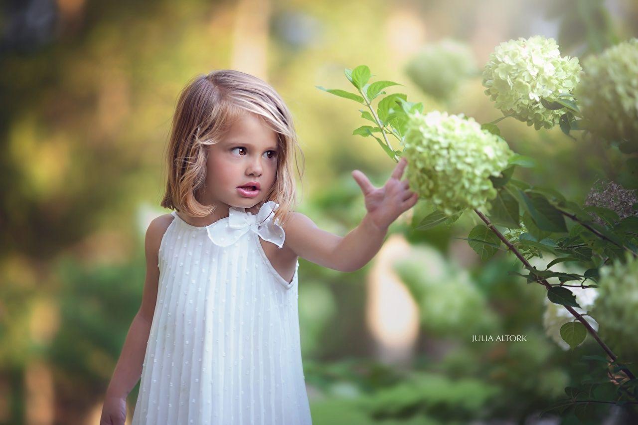 1280x853 Desktop Wallpaper Little girls Dark Blonde Julia Altork Children