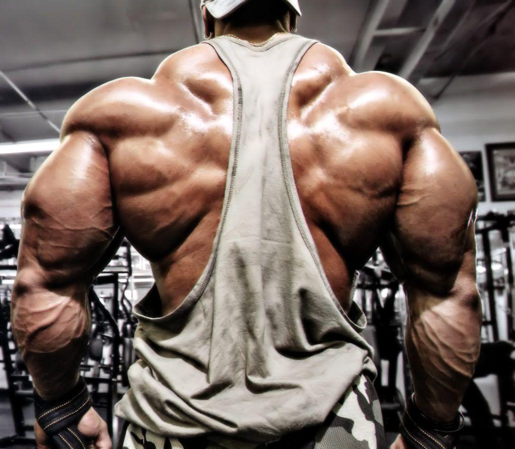 1024x893 Roelly Winklaar