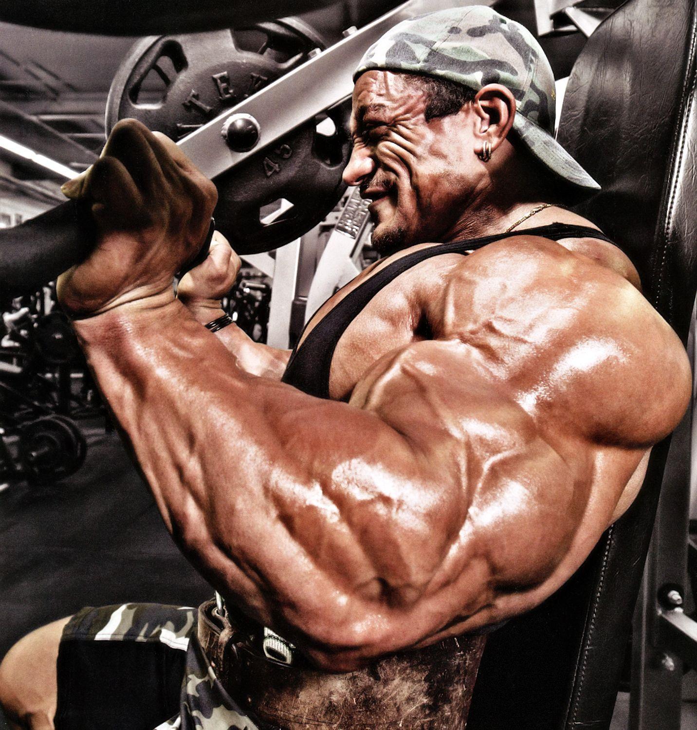 1432x1500 Roelly Winklaar- Wallpaper HD. ボディビル
