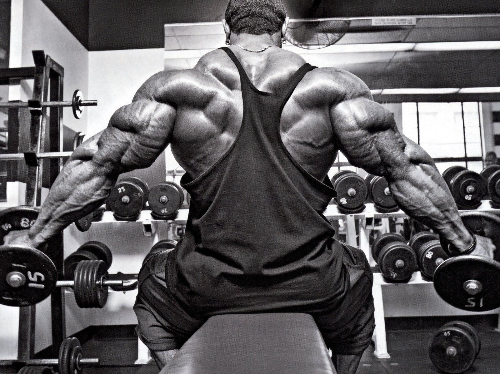 1600x1198 Bodybuilder with the best triceps, I nominate Roelly Winklaar