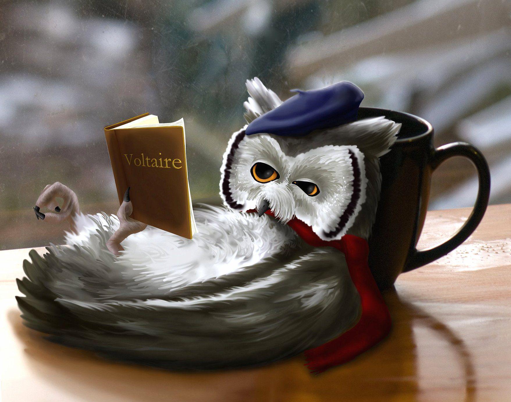1757x1382 Intelligent Owl Wallpaper HD Quality Owl Wallpaper HD