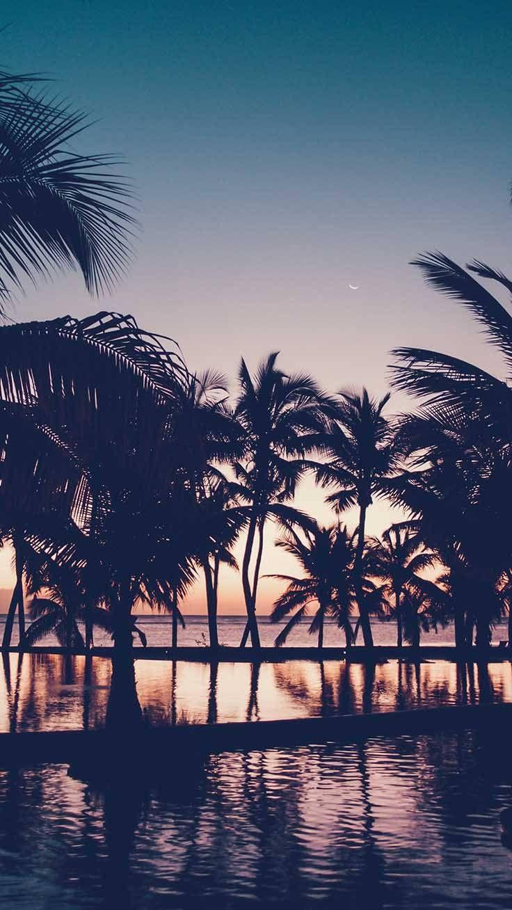 736x1308 Summer iPhone Sunset Beach Wallpaper