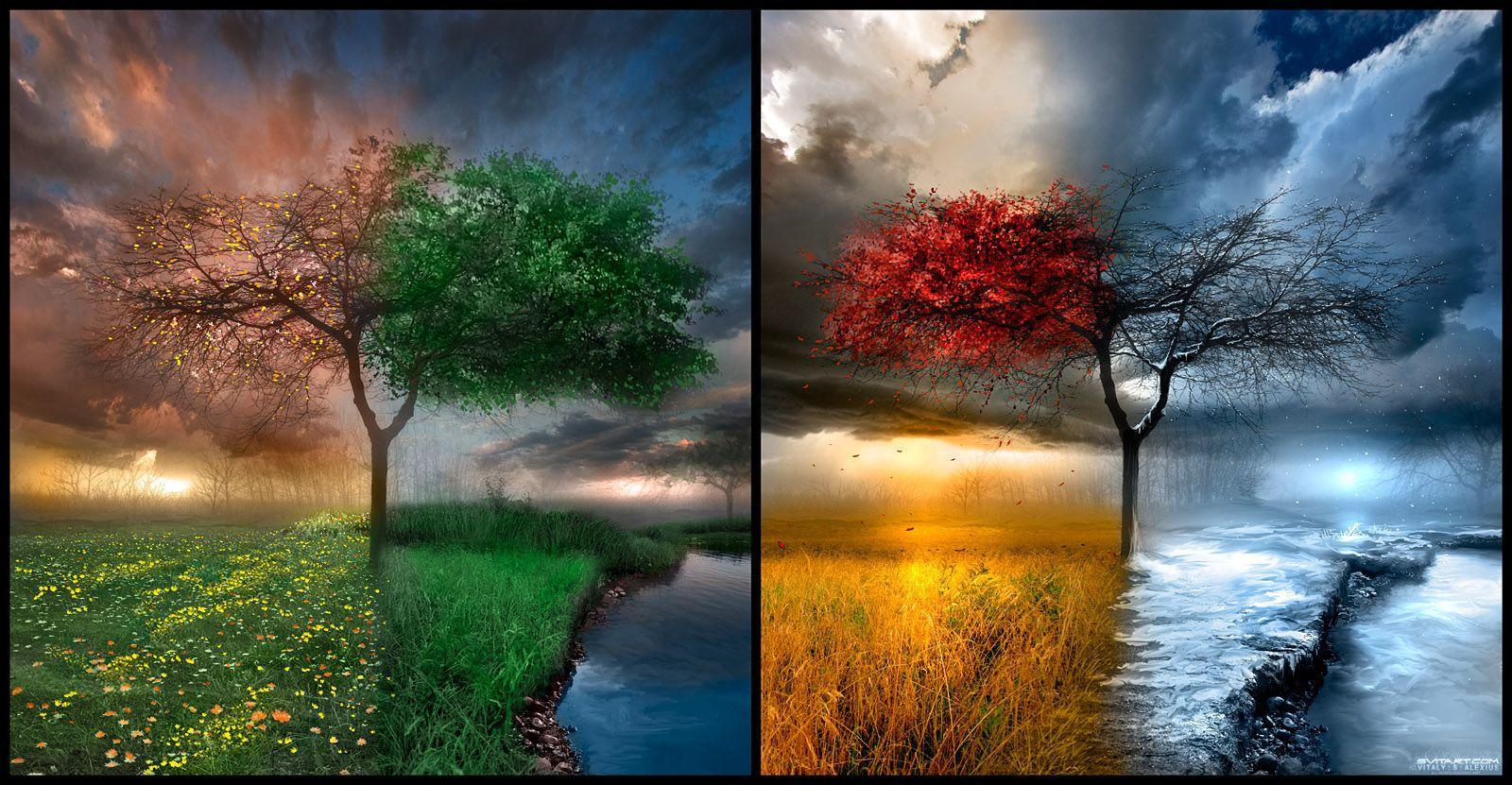 1600x831 Fall Summer Spring Winter Wallpaper