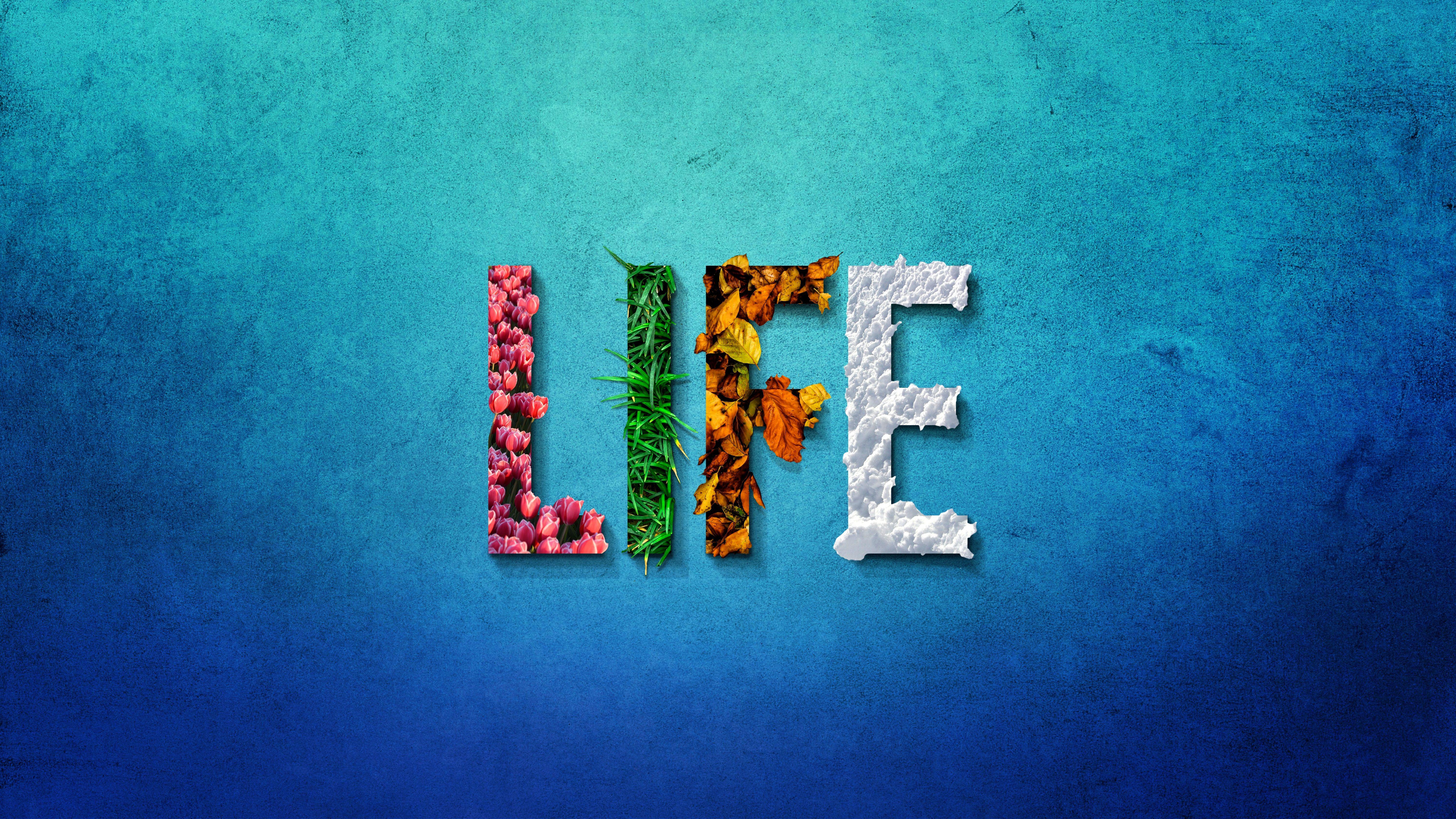 6000x3375 #Summer, #Winter, #Seasons, #Life, #Autumn, #Spring, K