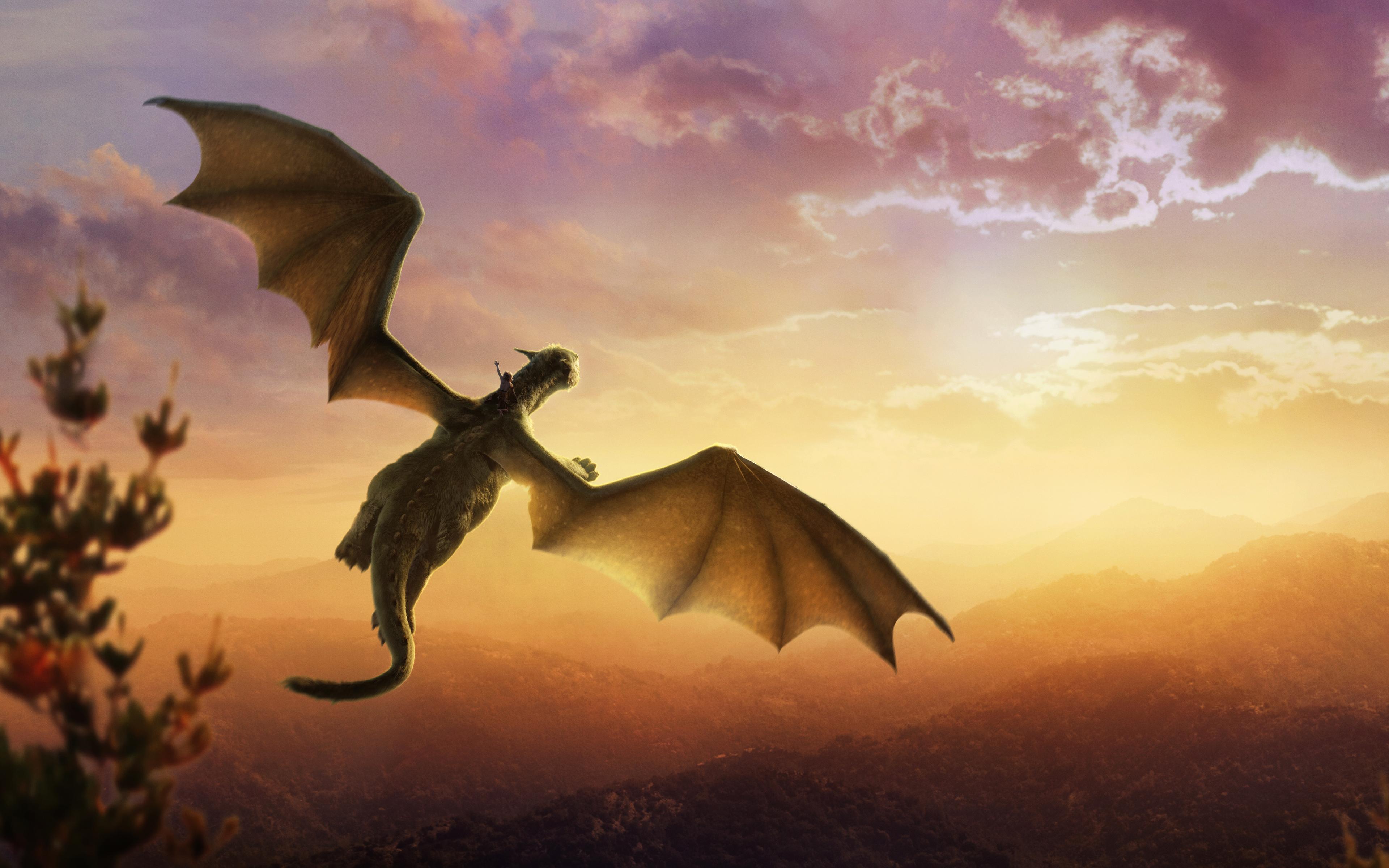 3840x2400 Pete's Dragon Wallpaper