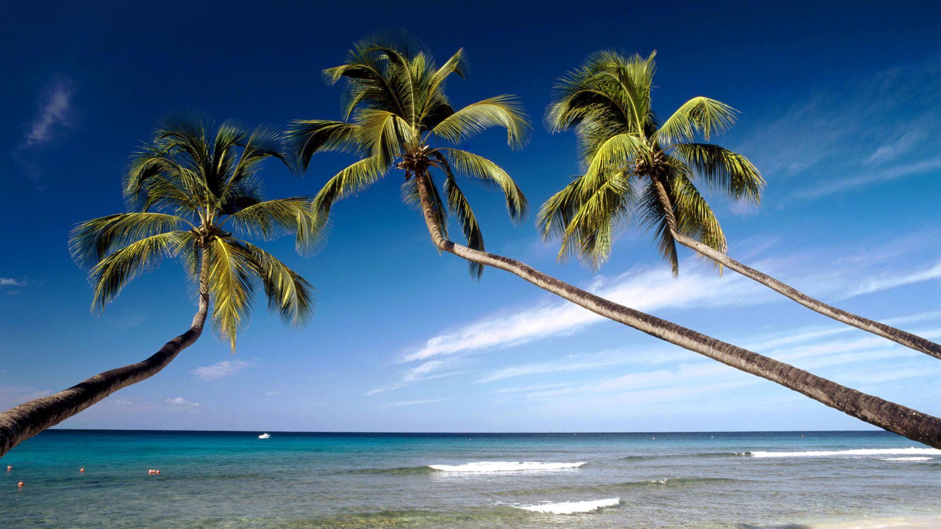 1920x1080 PC Wallpaper Beach Barbados