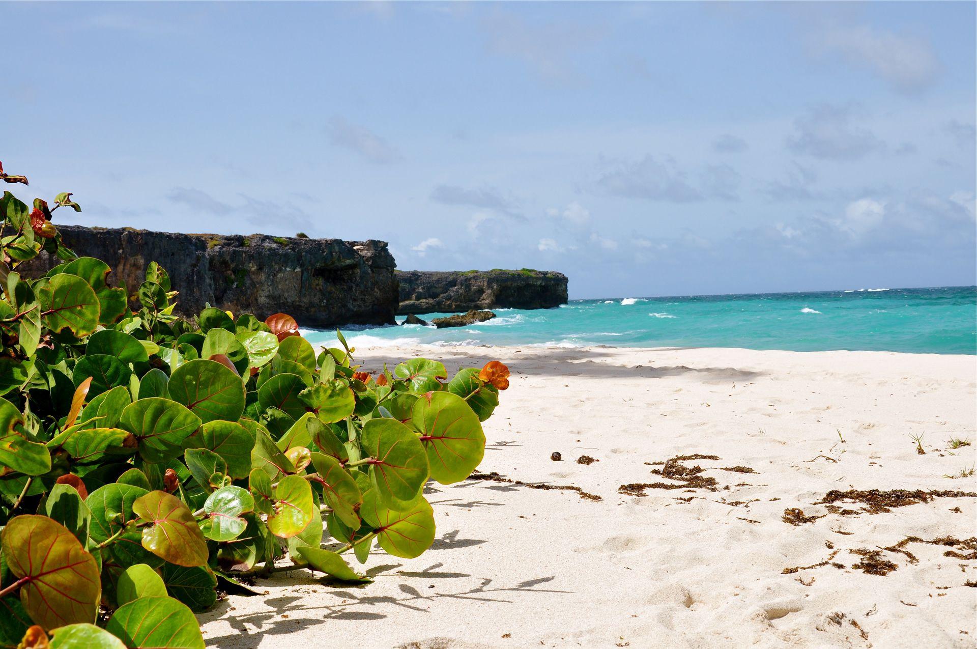 Barbados Beach Wallpapers - Top Free Barbados Beach Backgrounds ...