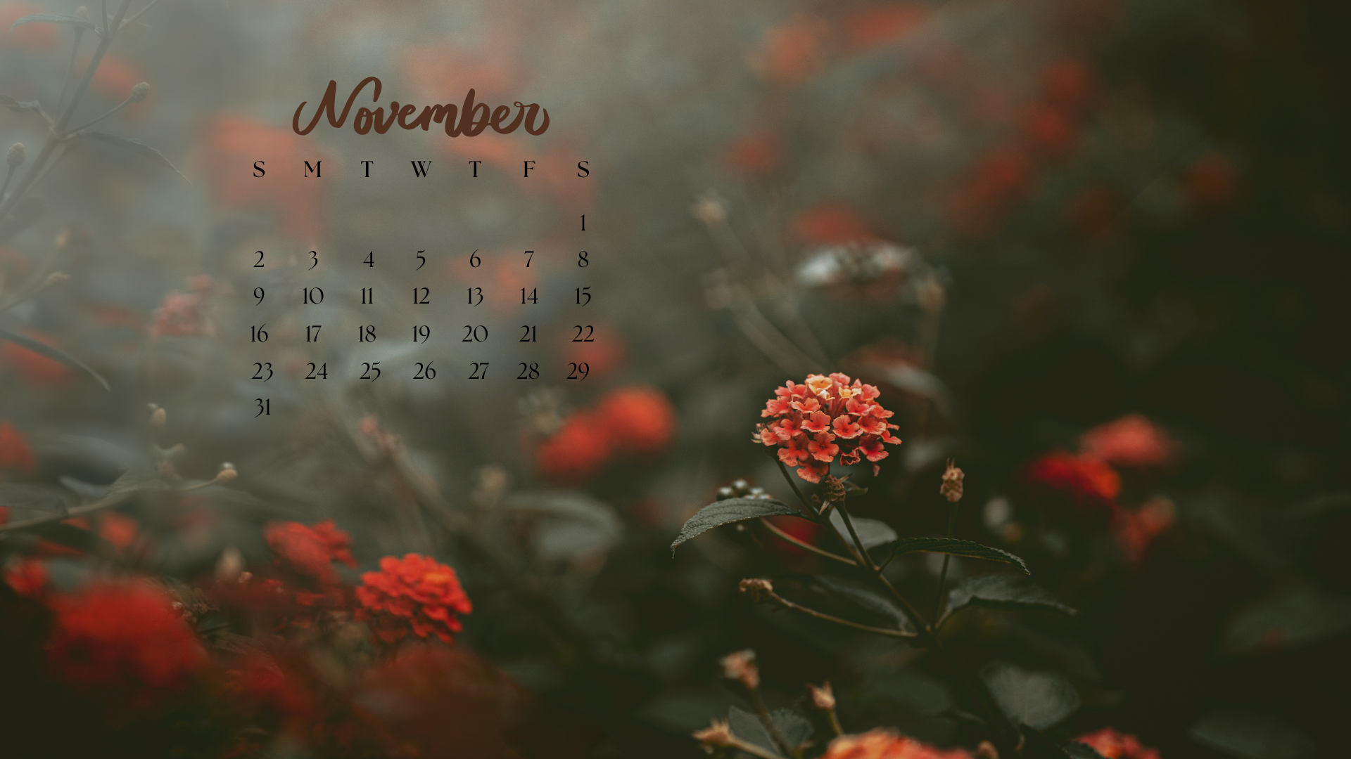 1920x1080 Free November 2025 Desktop Calendar Background (EASY DOWNLOAD)