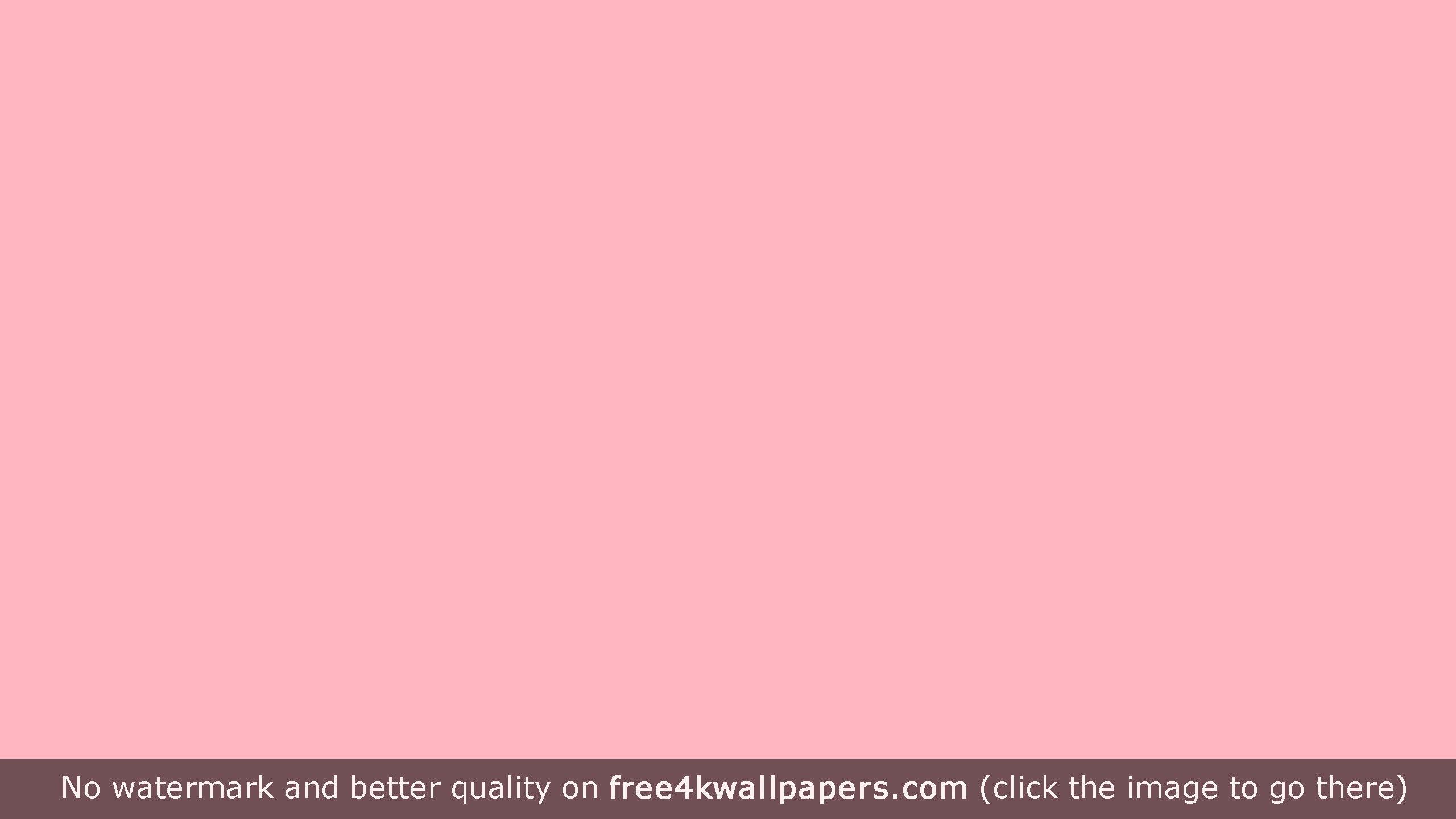 2560x1440 2560x1440, Hình nền nền Tumblr Plain Pink Wallpaper