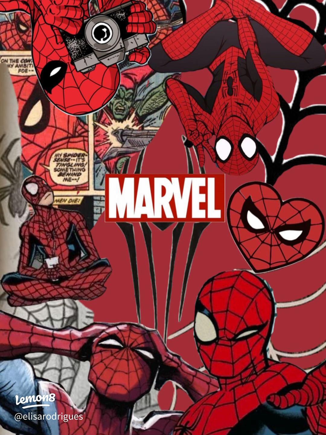 1080x1442 Vintage Spider Man IPhone Home & Lock Screen Ideas