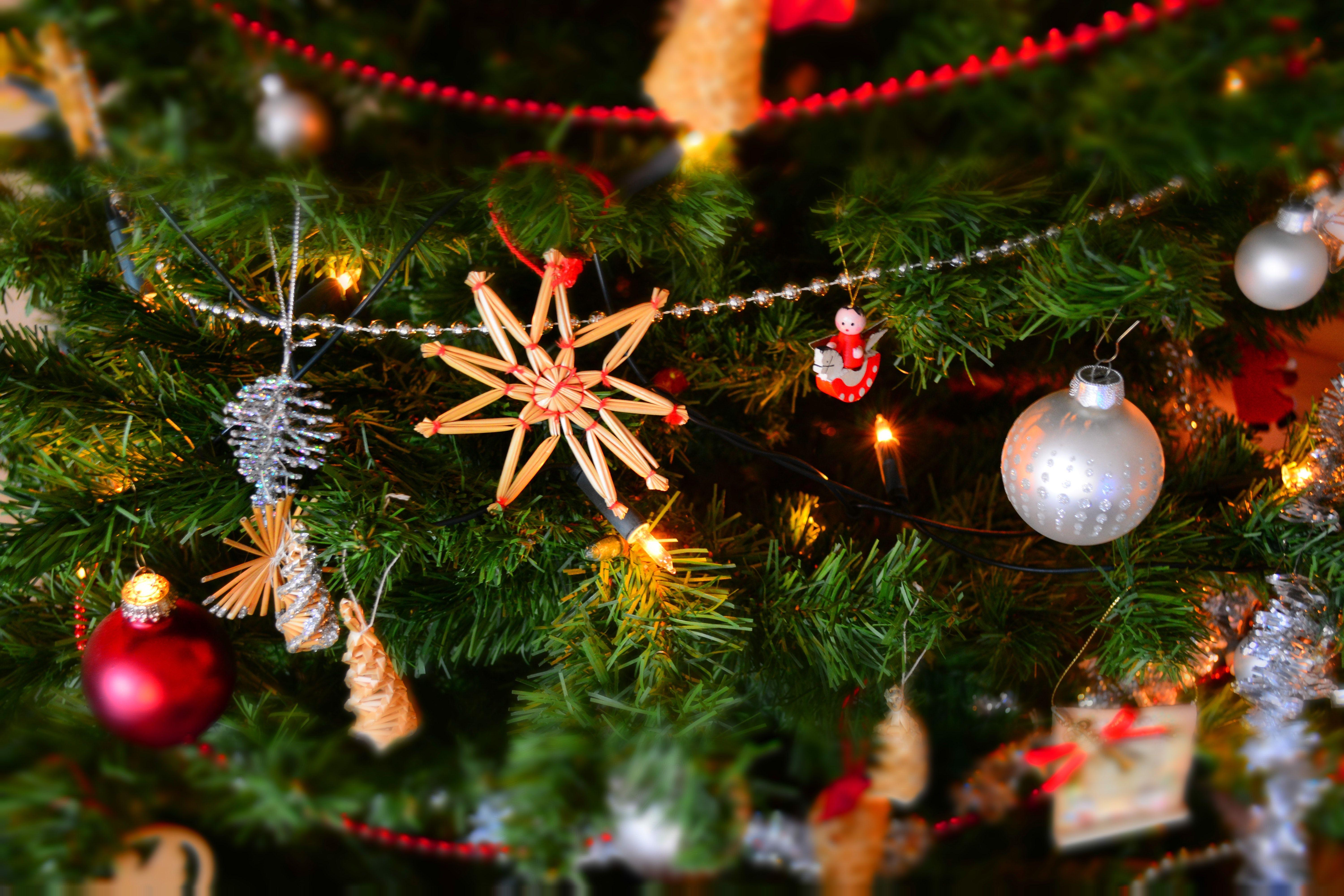 6000x4000 Christmas image
