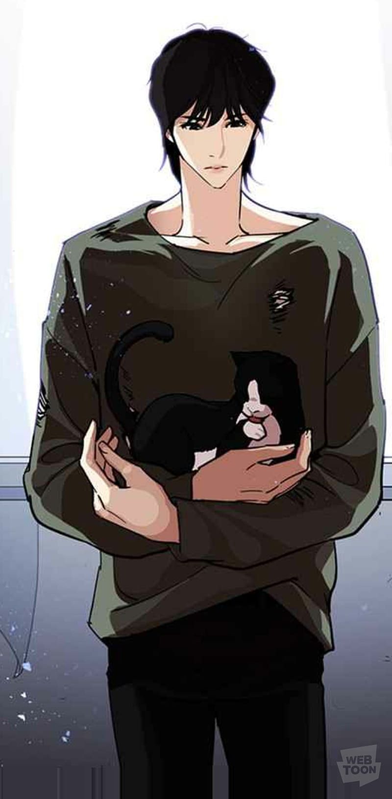 800x1627 HD lookism webtoon wallpaper