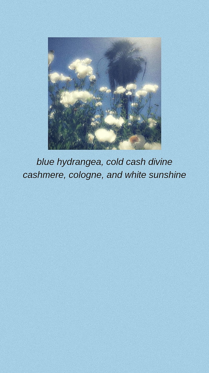 800x1422 Old money, aesthetic, diamantes ices, lana del rey, love, quotes, ultraviolence, HD phone wallpaper