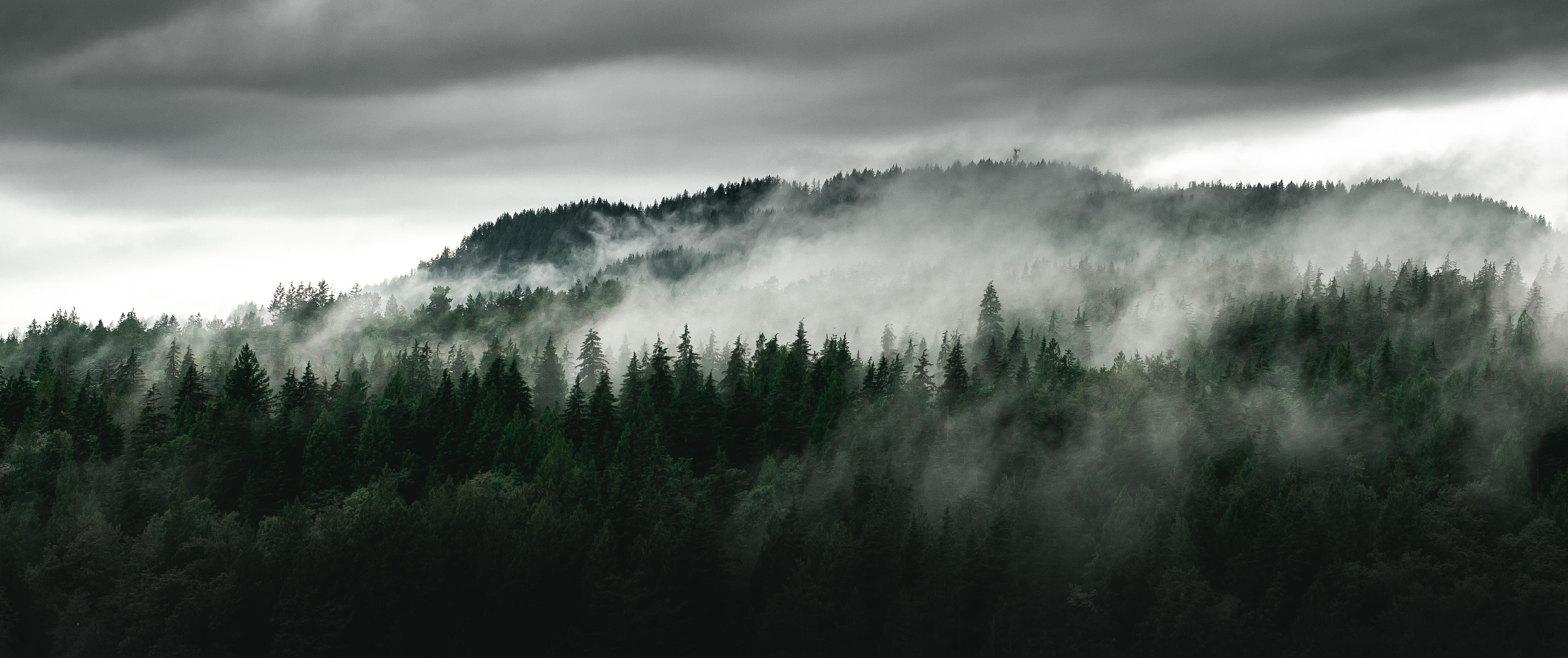 3888x1631 For my fellow 21:9 users. I took this image today and it now resides as my wallpaper, figured I'd share and assist anyone in need of a new moody background!