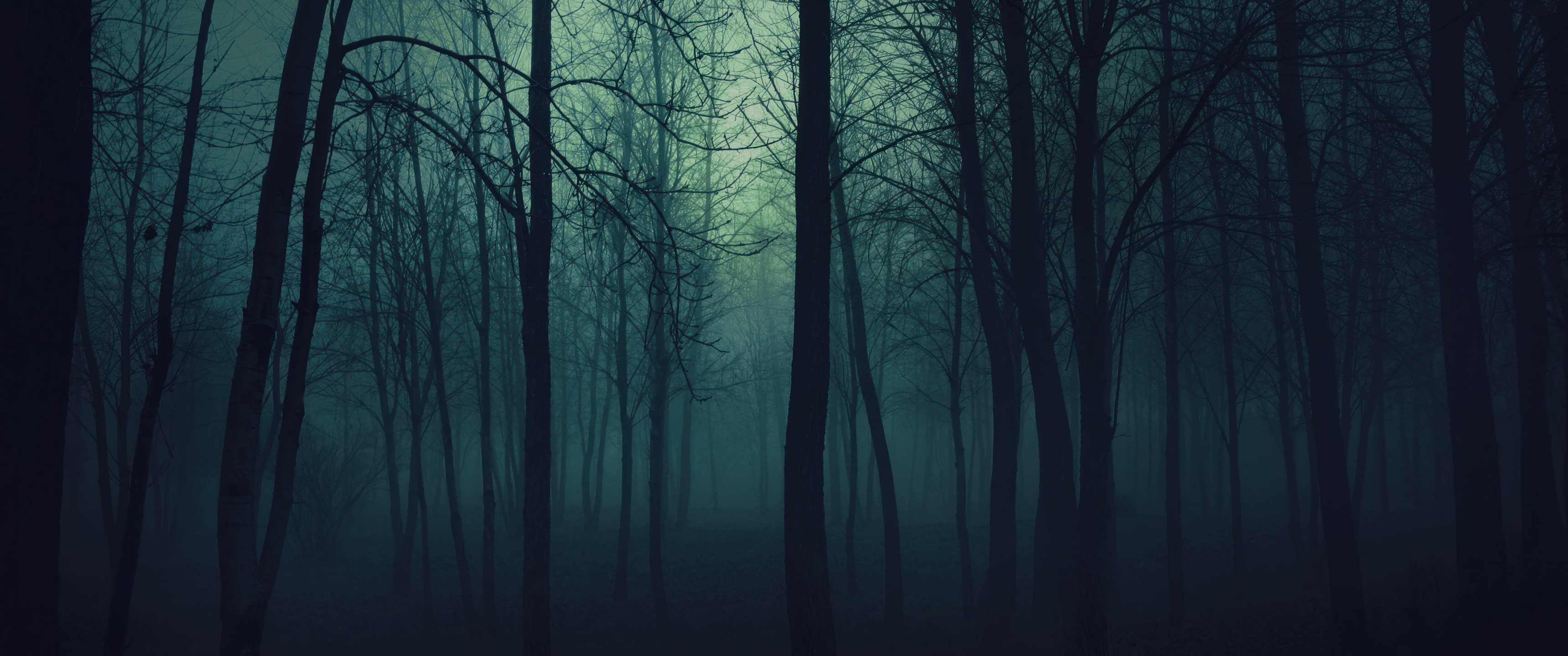 3440x1440 Dark forest [3440x1440]