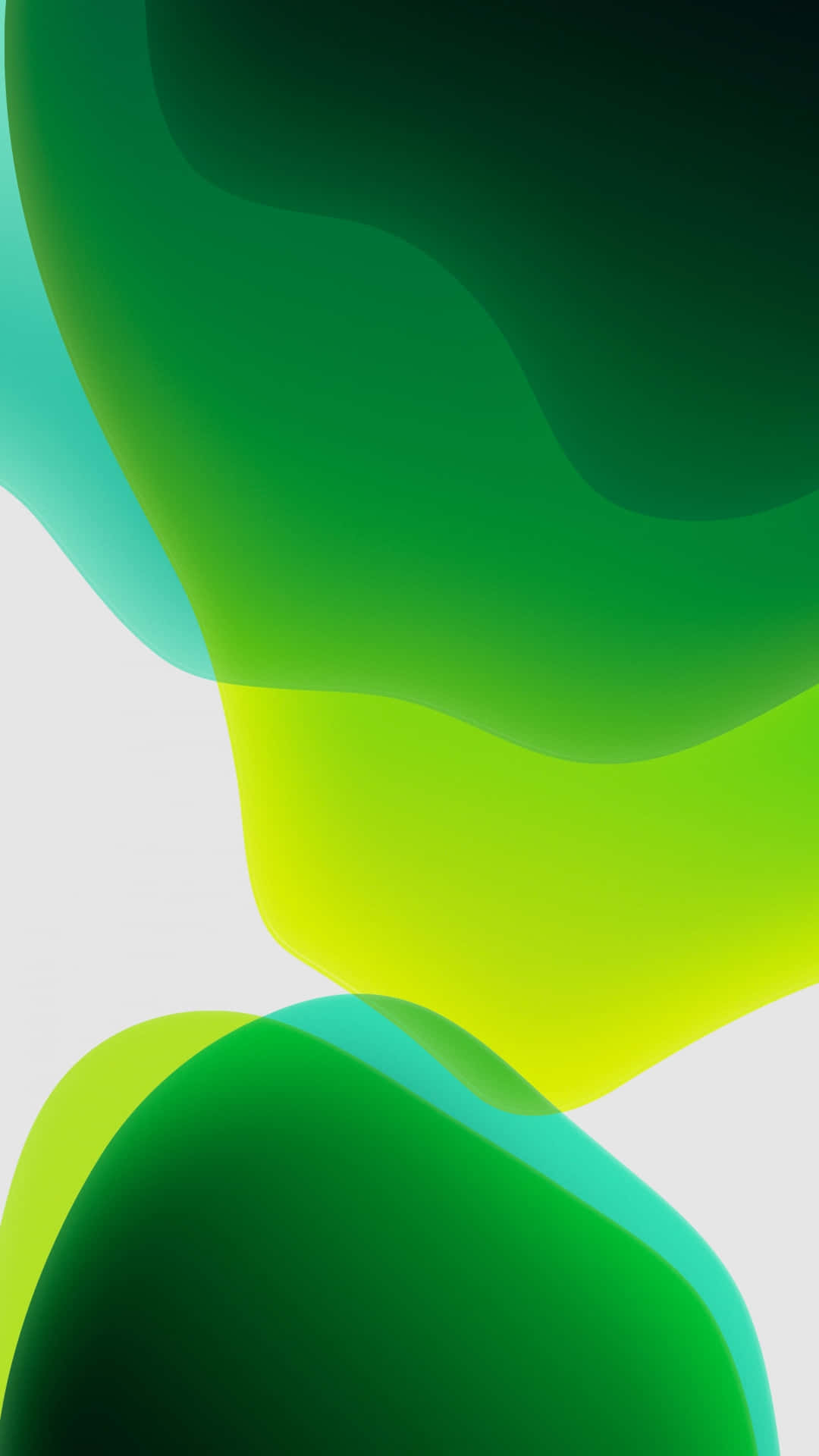 1080x1920 Download iPhone 11 Green Wavy Pattern Wallpaper