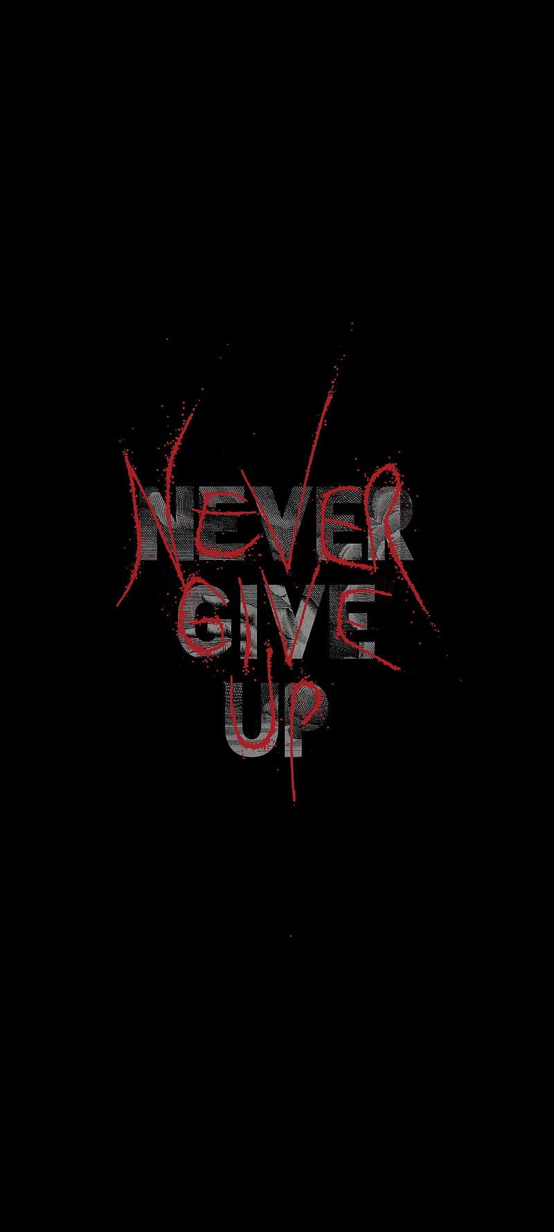 800x1778 Never Give Up, nevergiveup, amoled, fitness, motivation, gym, bodybuilding, powerlifting, HD phone wallpaper
