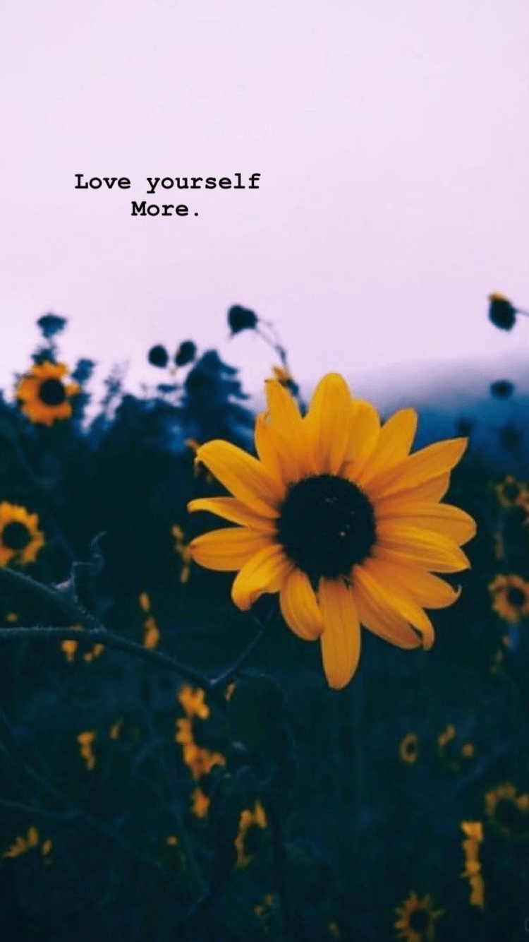 750x1334 sunflower Cute Sunflower Background Wallpaper & Background Download