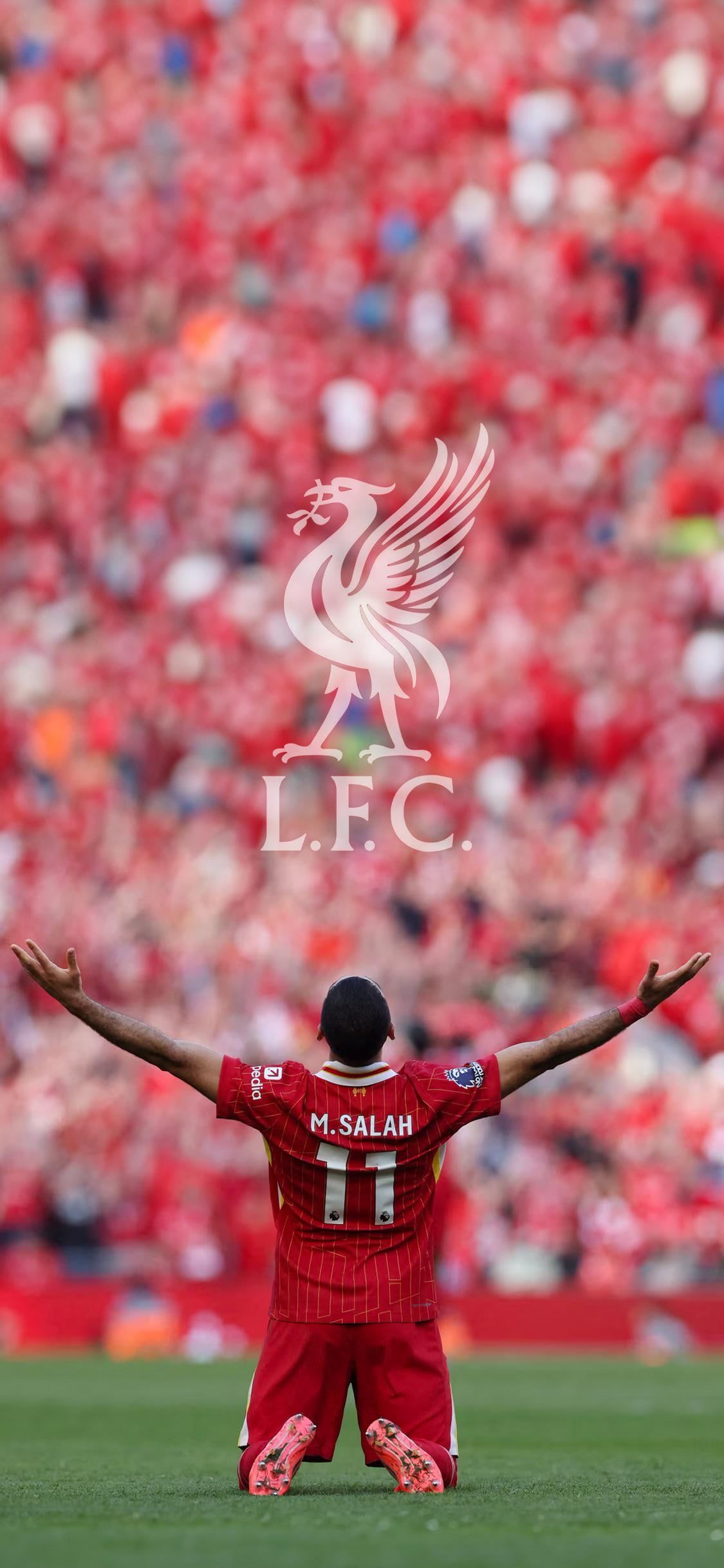 1125x2436 Made a wallpaper of our Egyptian King