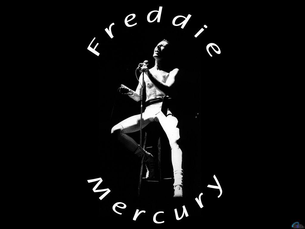 1024x768 Freddie Mercury