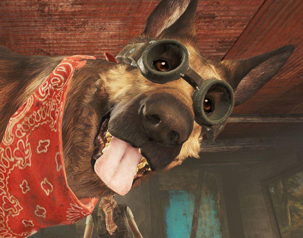 where is dogmeat fallout 4