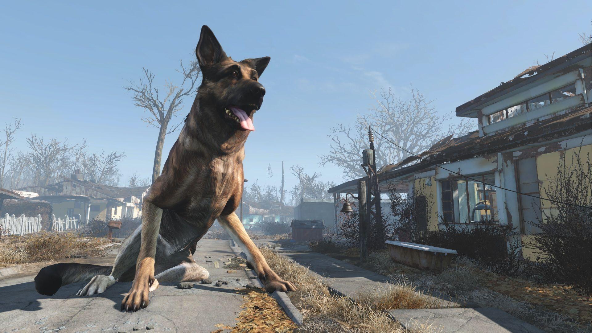 fallout 4 where is my dog