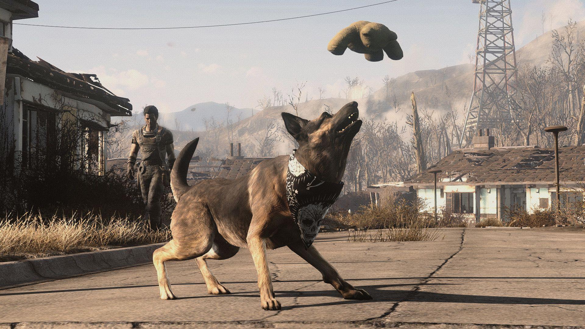 fallout 4 dogmeat 4k