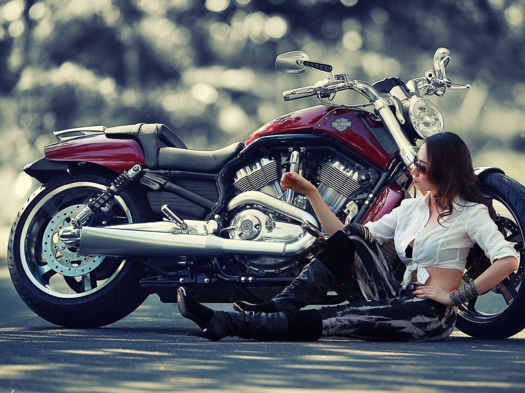 1024x768 of harley 4K wallpaper for your desktop or mobile screen