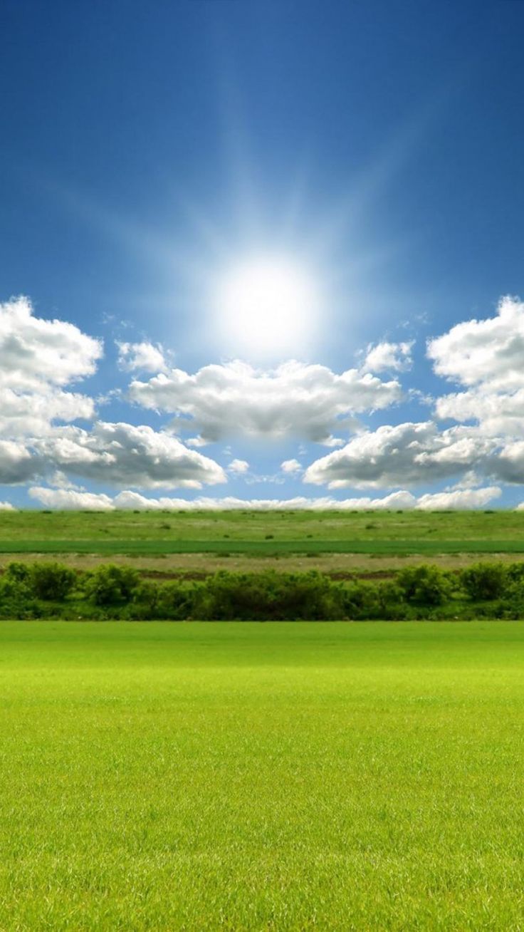 736x1308 Sunlight Nature Green Field Sky iPhone 8 Wallpaper