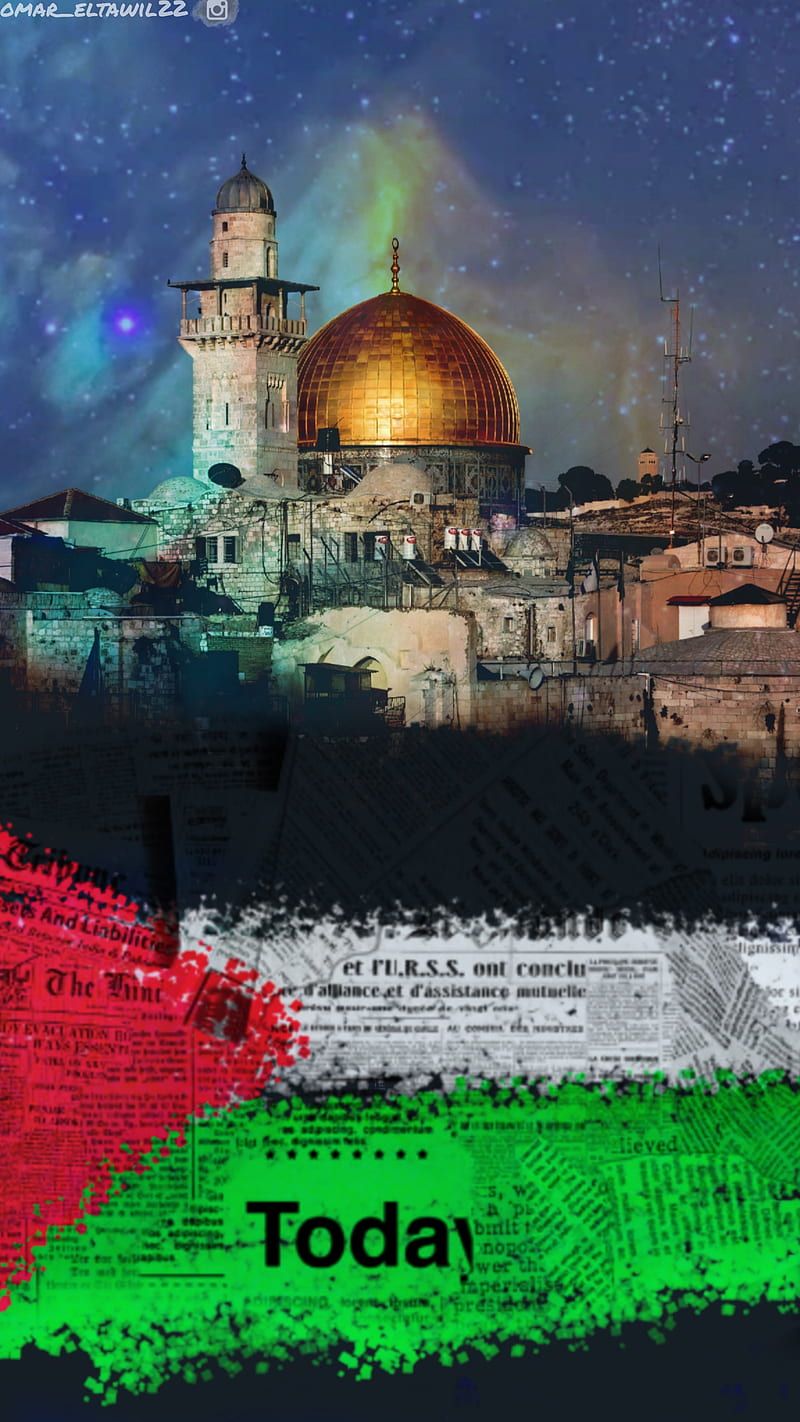 800x1422 Palestine, desgin, dom, love, palestinan, people, HD phone wallpaper