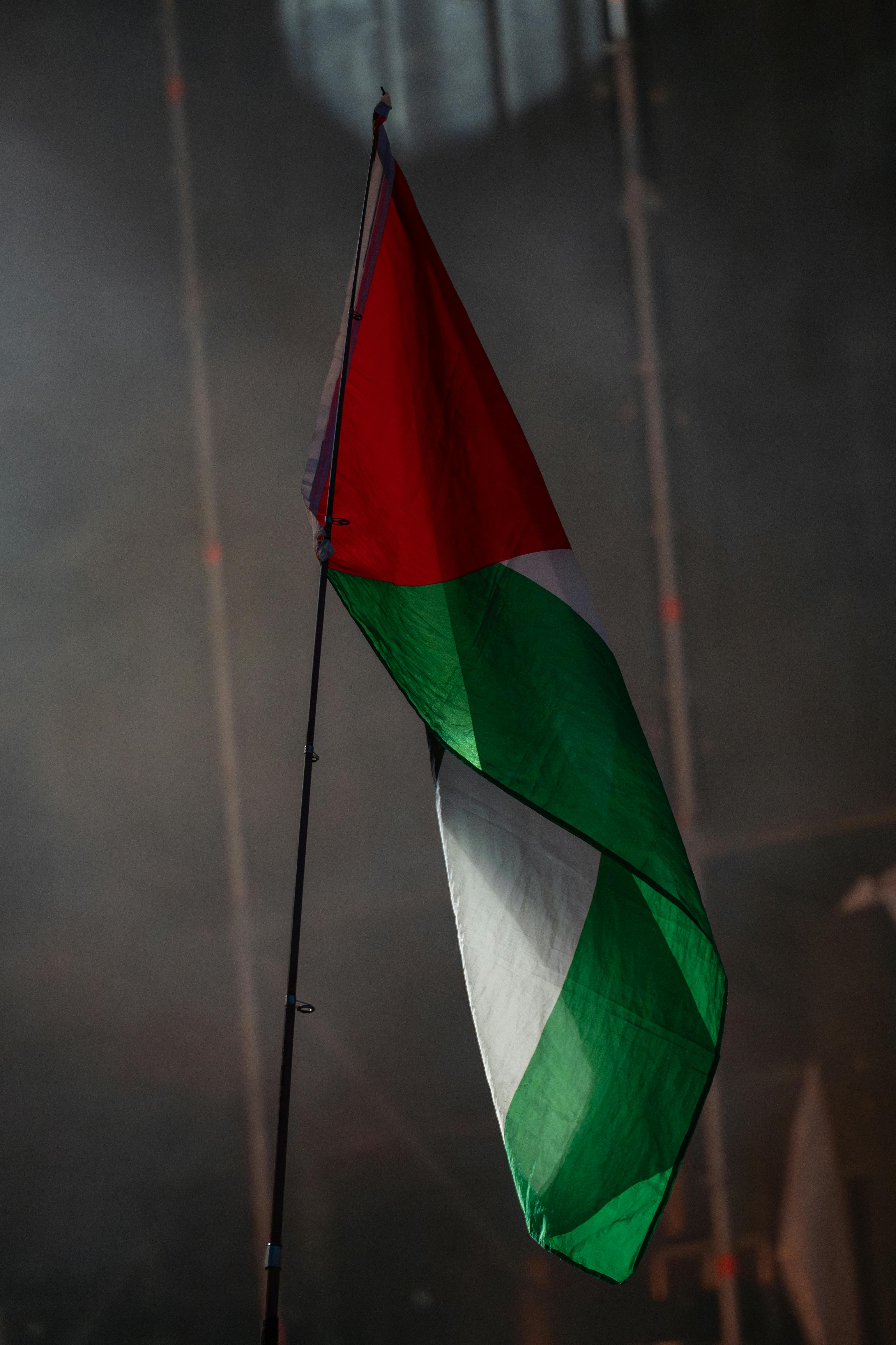 3113x4672 Palestine Flag on a Pole · Free