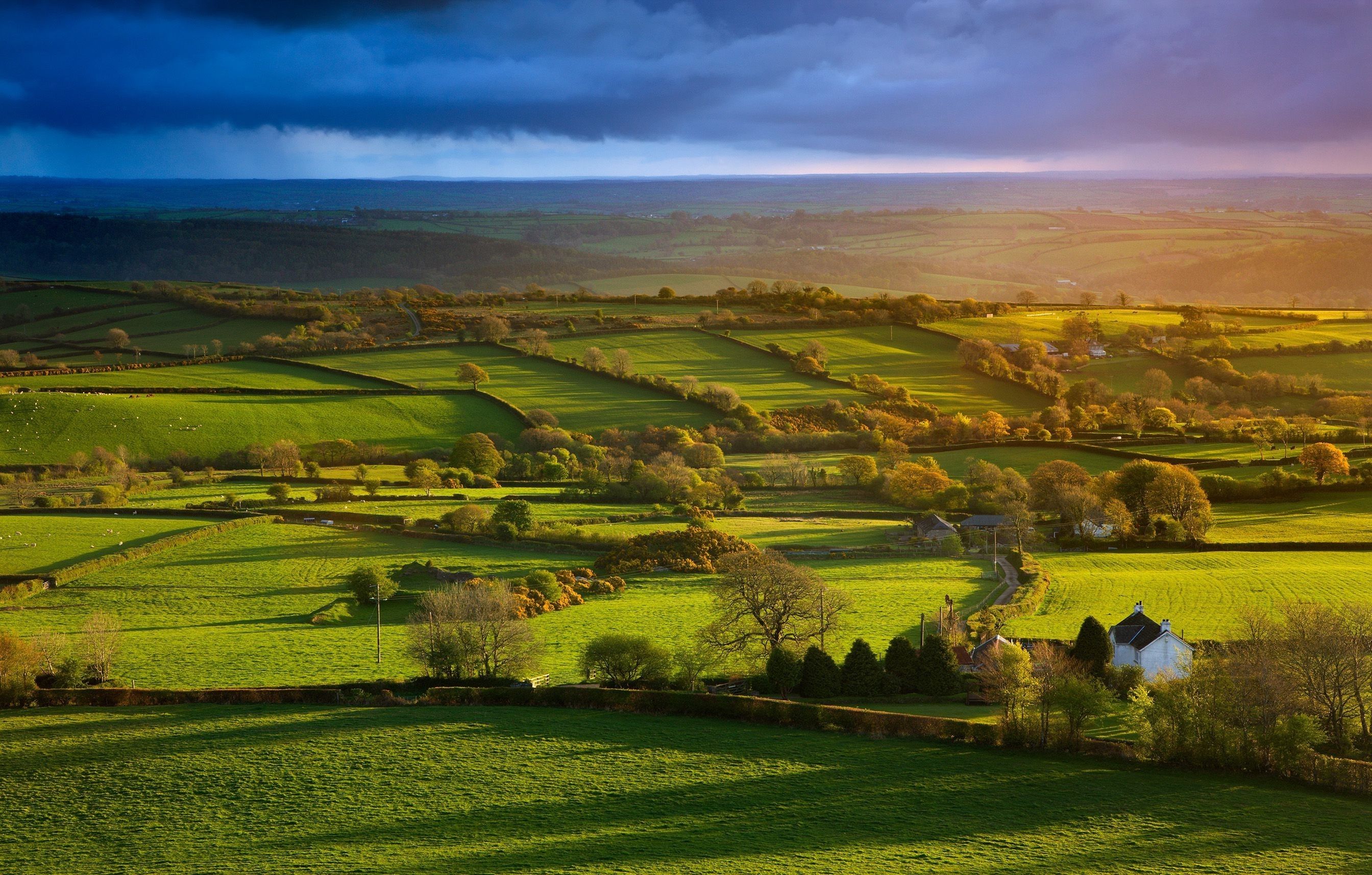 2688x1713 sunrise, Morning, Villages, Trees, Field, Green, Nature, Landscape Wallpaper HD / Desktop and Mobile Background