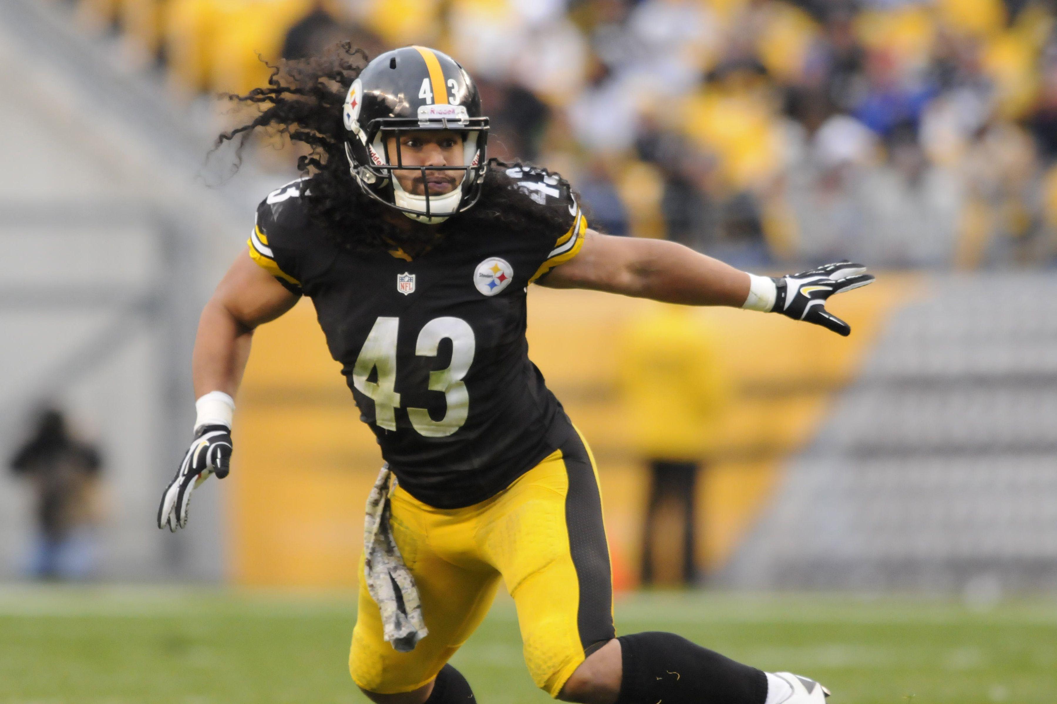 Troy Polamalu Wallpapers Top Free Troy Polamalu Backgrounds