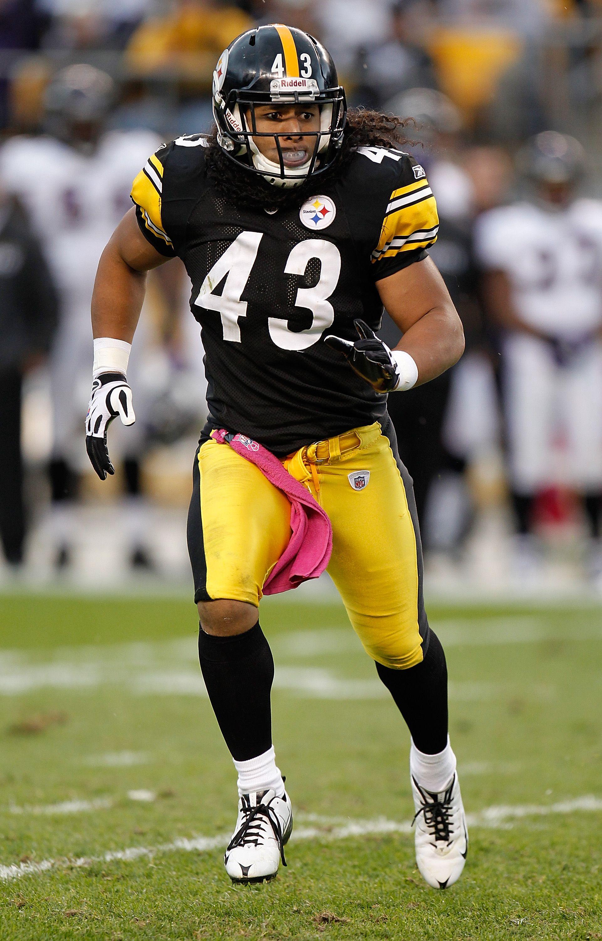 Troy Polamalu Wallpaper  Download to your mobile from PHONEKY