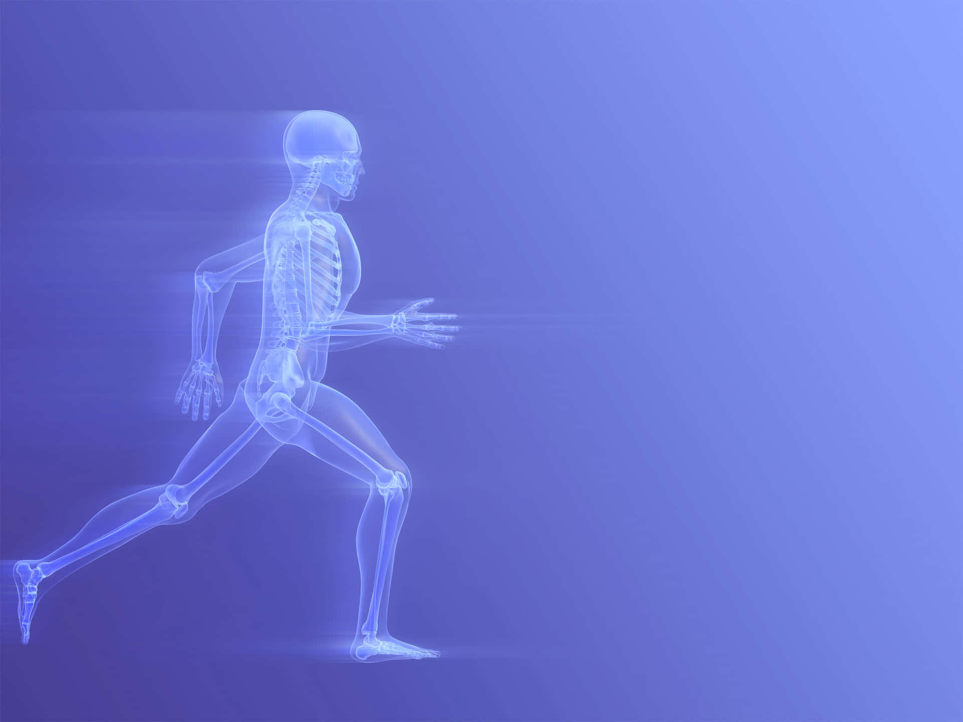 1920x1440 Physical Therapy Wallpaper