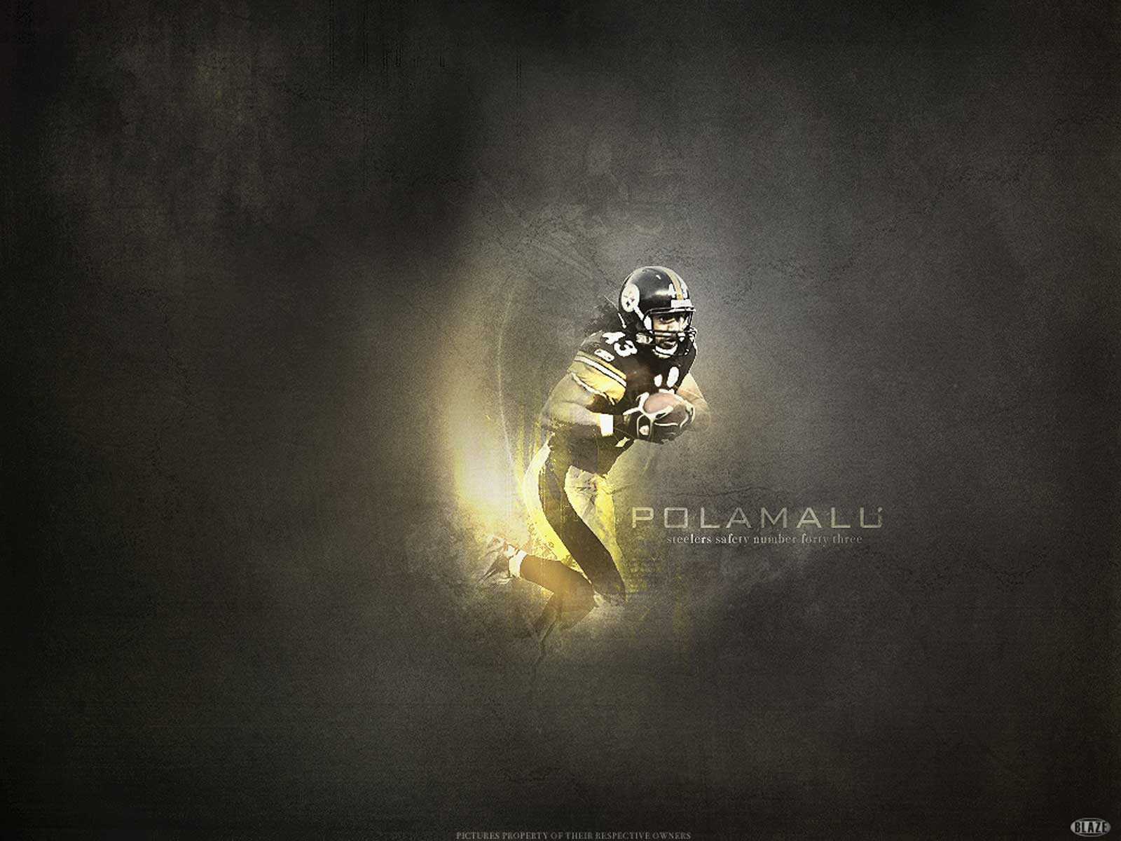 1600x1200 troy polamalu wallpaper photo