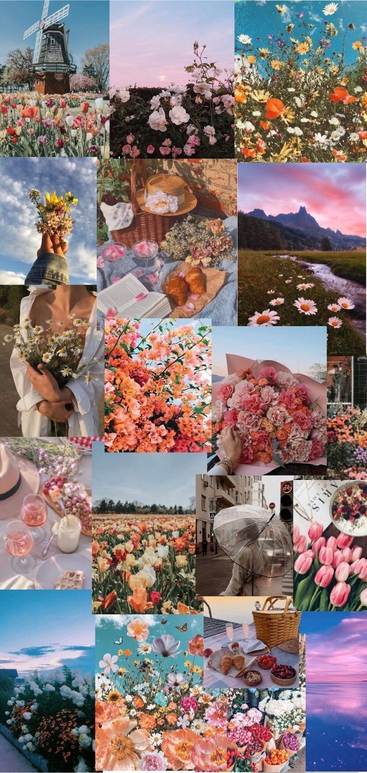 Collage Aestetic Wallpapers - Top Free Collage Aestetic Backgrounds ...
