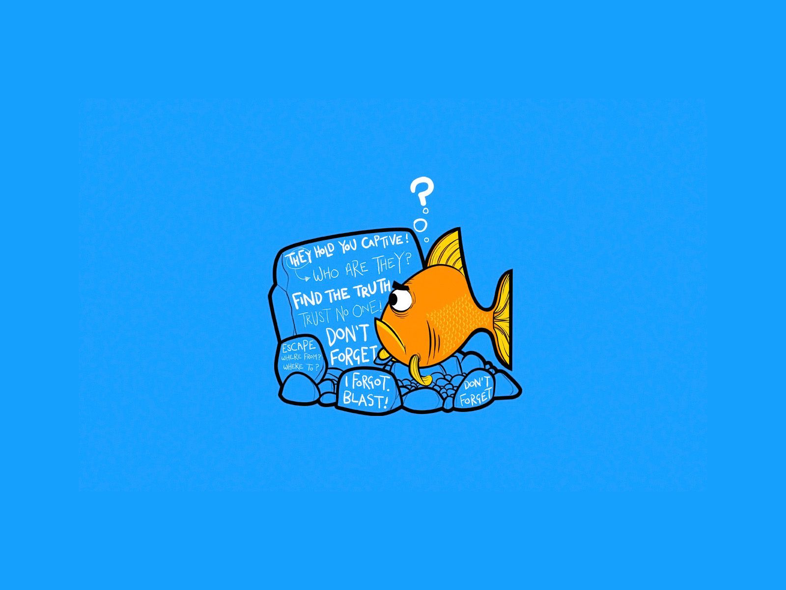 1600x1200 Phone wallpaper: Funny, Humor 1078780